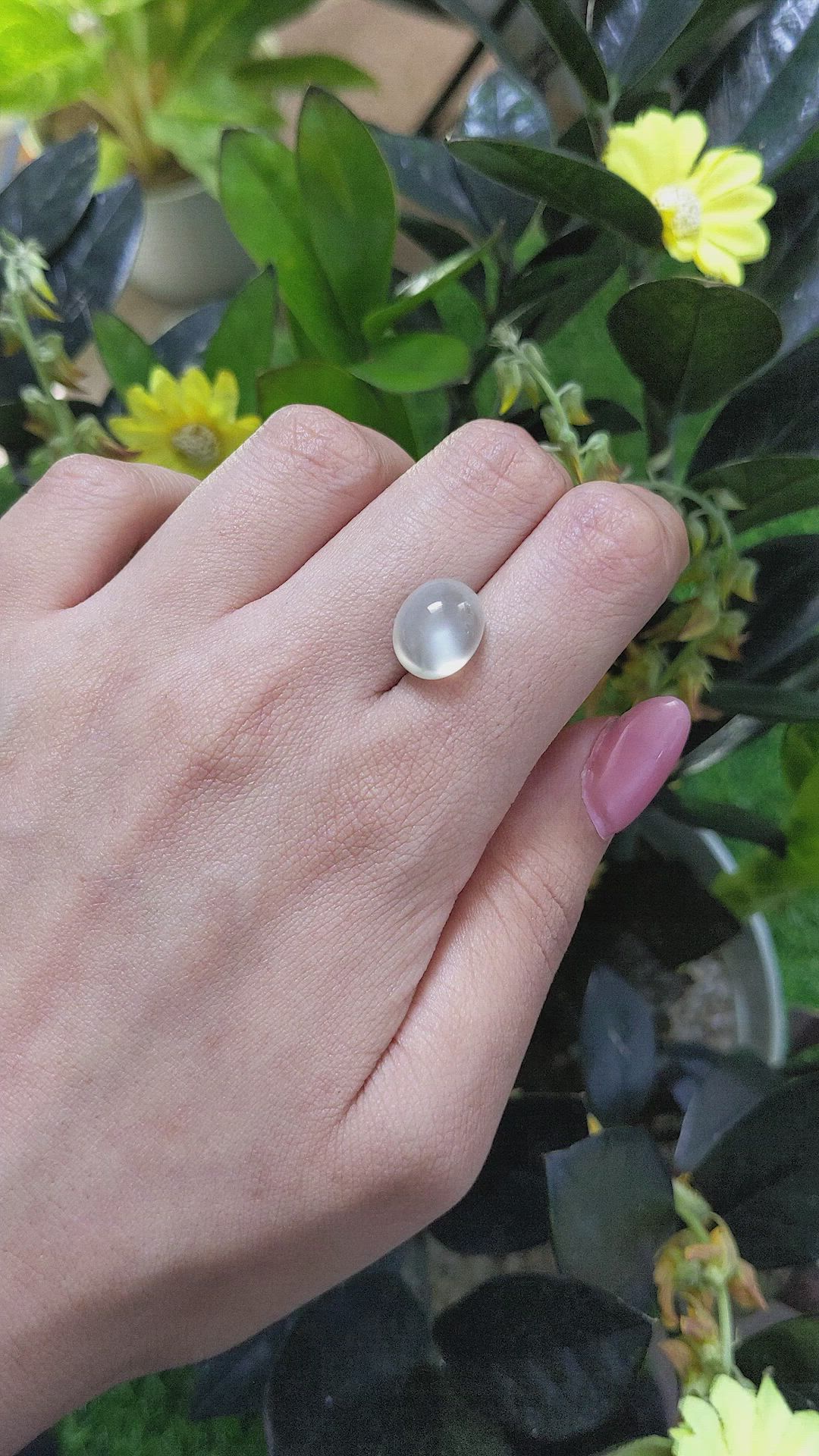 6.84 Ct. Cabochon Moonstone from Ceylon (Sri Lanka) Size Video