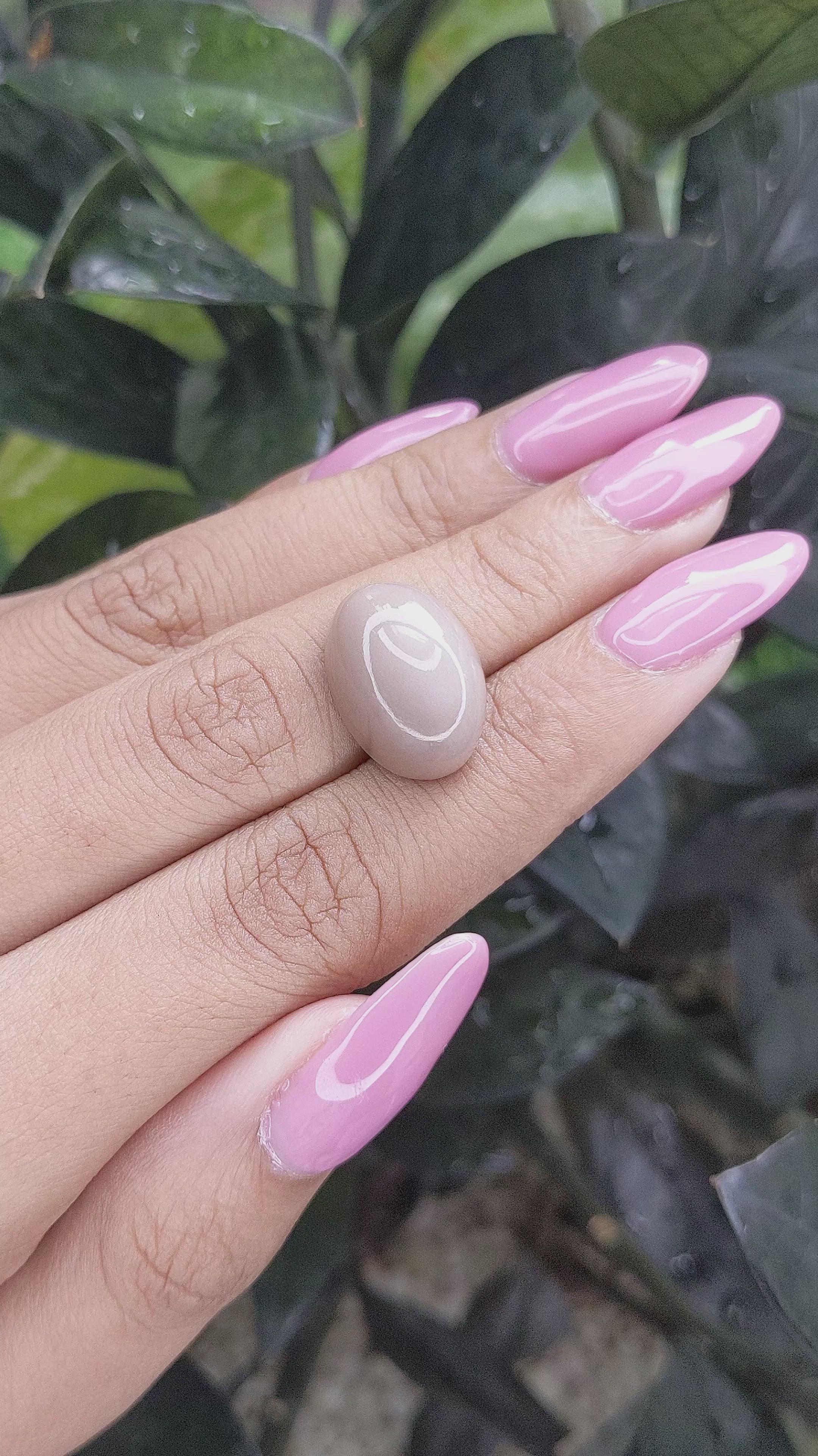 14.53 Ct. Cabochon Moonstone from Ceylon (Sri Lanka) Size Video