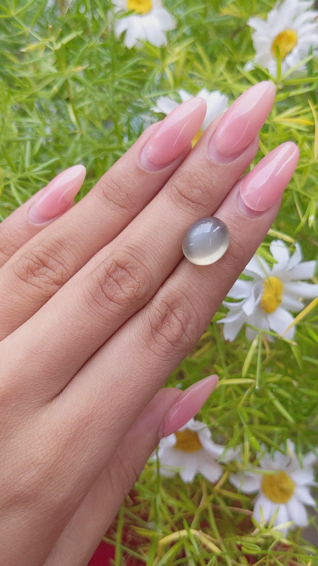 10.10 Ct. Cabochon Moonstone from Ceylon (Sri Lanka) Size Video