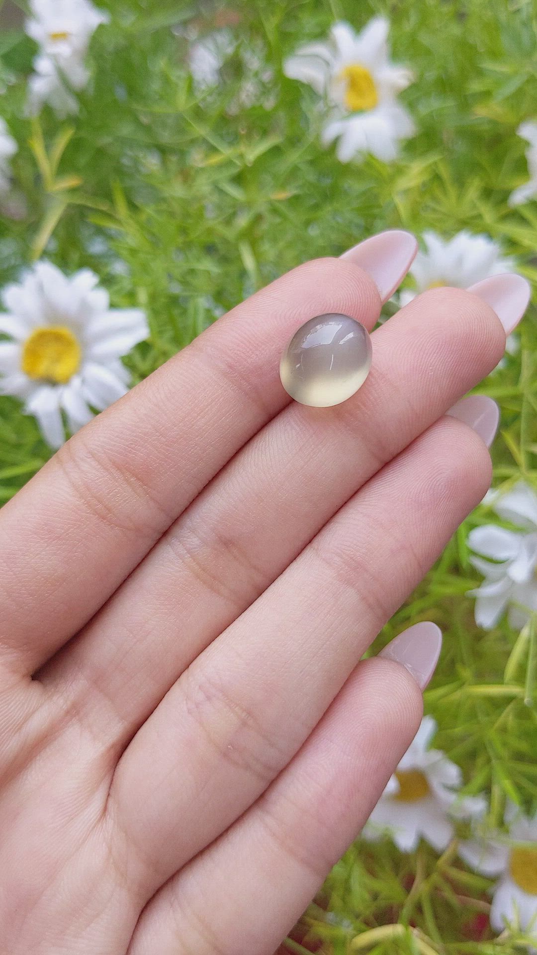 10.10 Ct. Cabochon Moonstone from Ceylon (Sri Lanka) Size Video