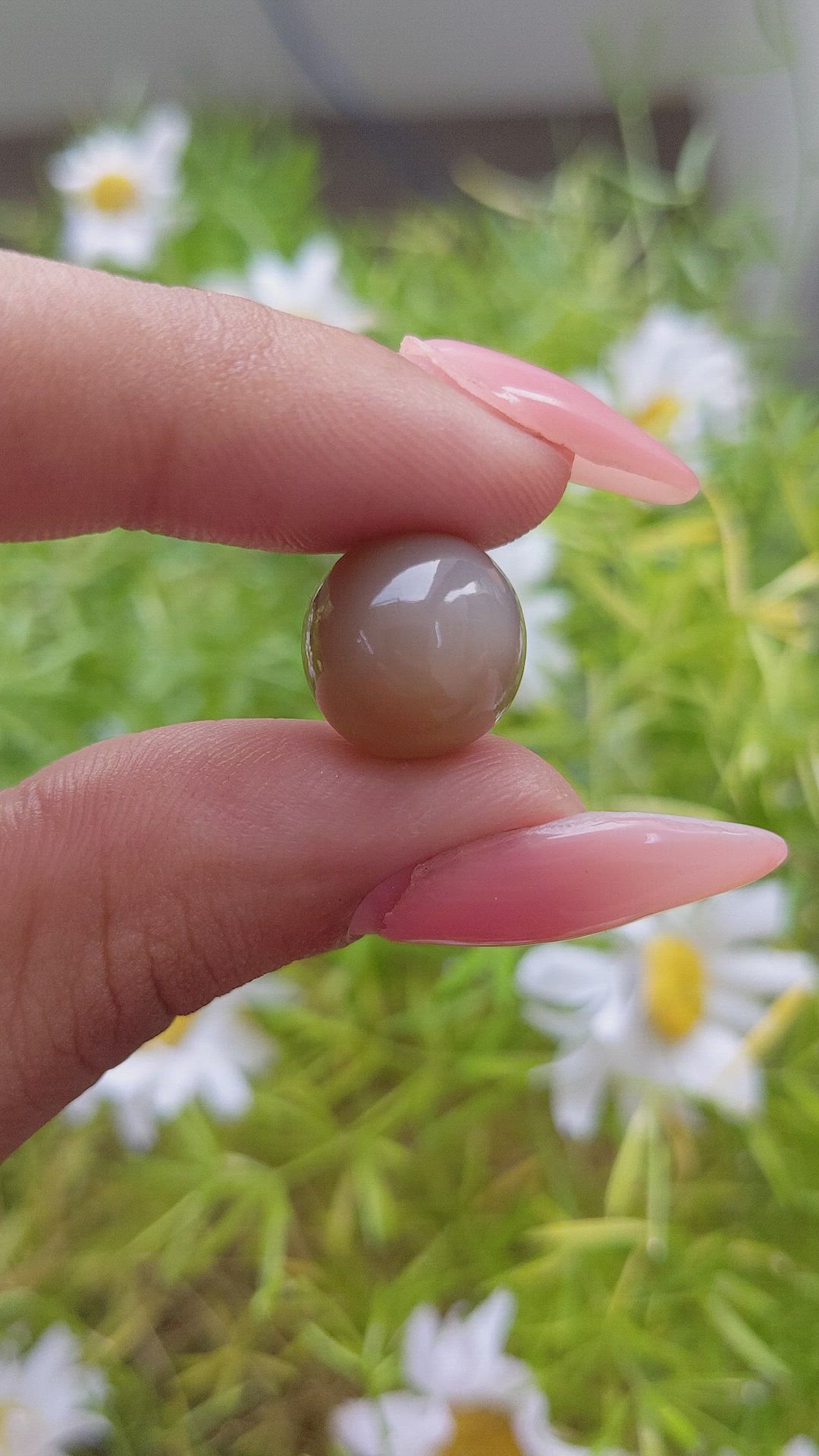 15.75 Ct. Cabochon Moonstone from Ceylon (Sri Lanka) Size Video