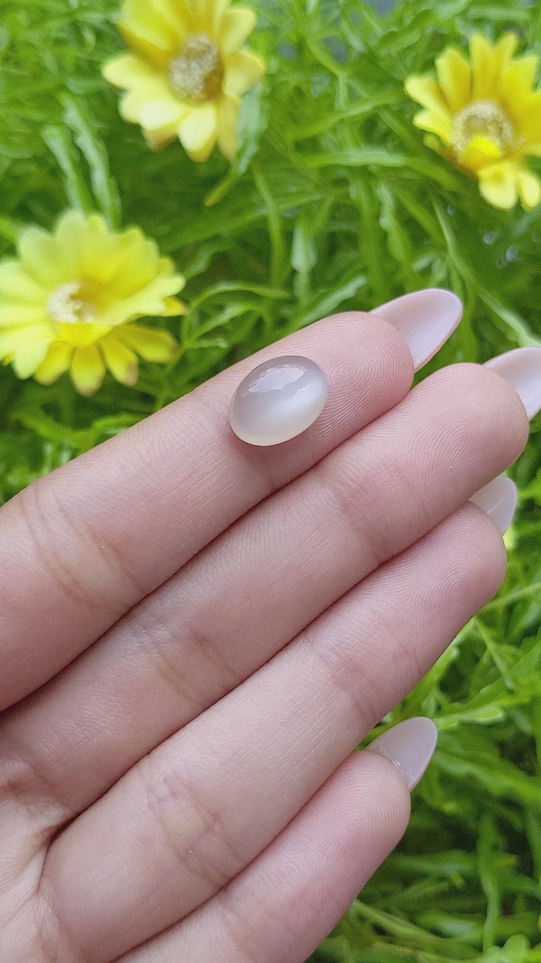 5.01 Ct. Cabochon Moonstone from Ceylon (Sri Lanka) Size Video