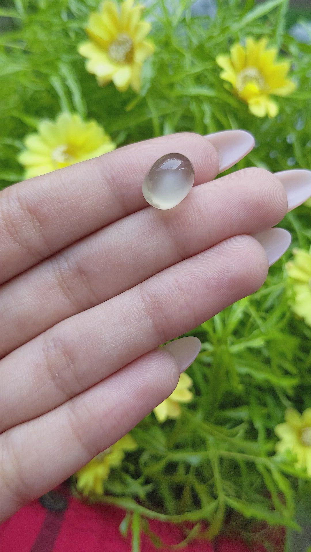 10.25 Ct. Cabochon Moonstone from Ceylon (Sri Lanka) Size Video