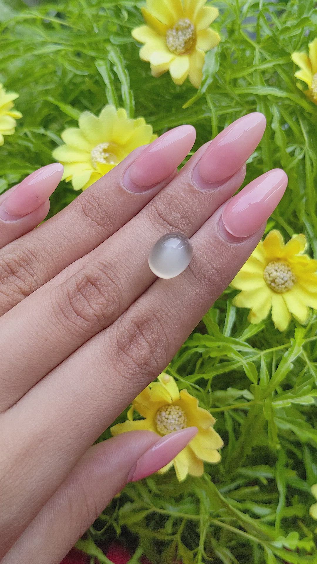 10.25 Ct. Cabochon Moonstone from Ceylon (Sri Lanka) Size Video
