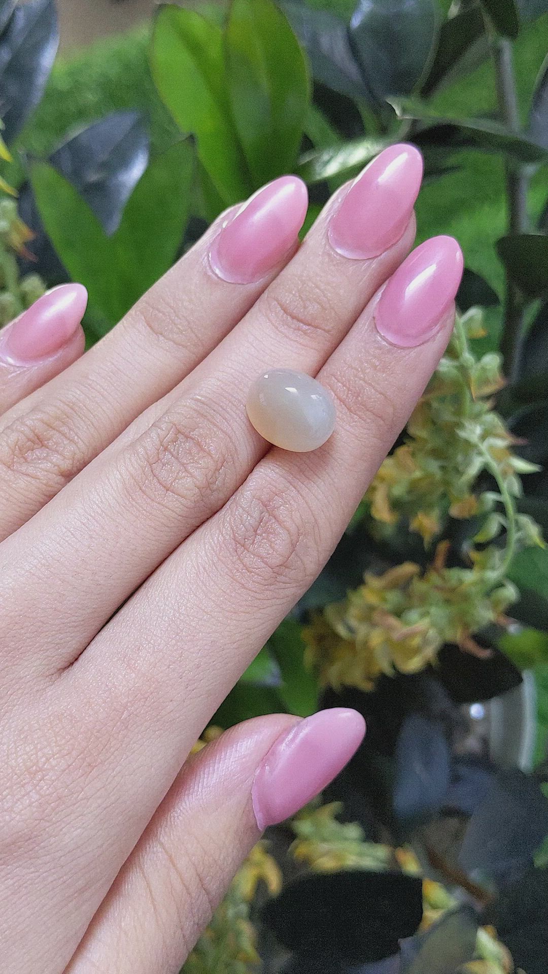 10.67 Ct. Cabochon Moonstone from Ceylon (Sri Lanka) Size Video