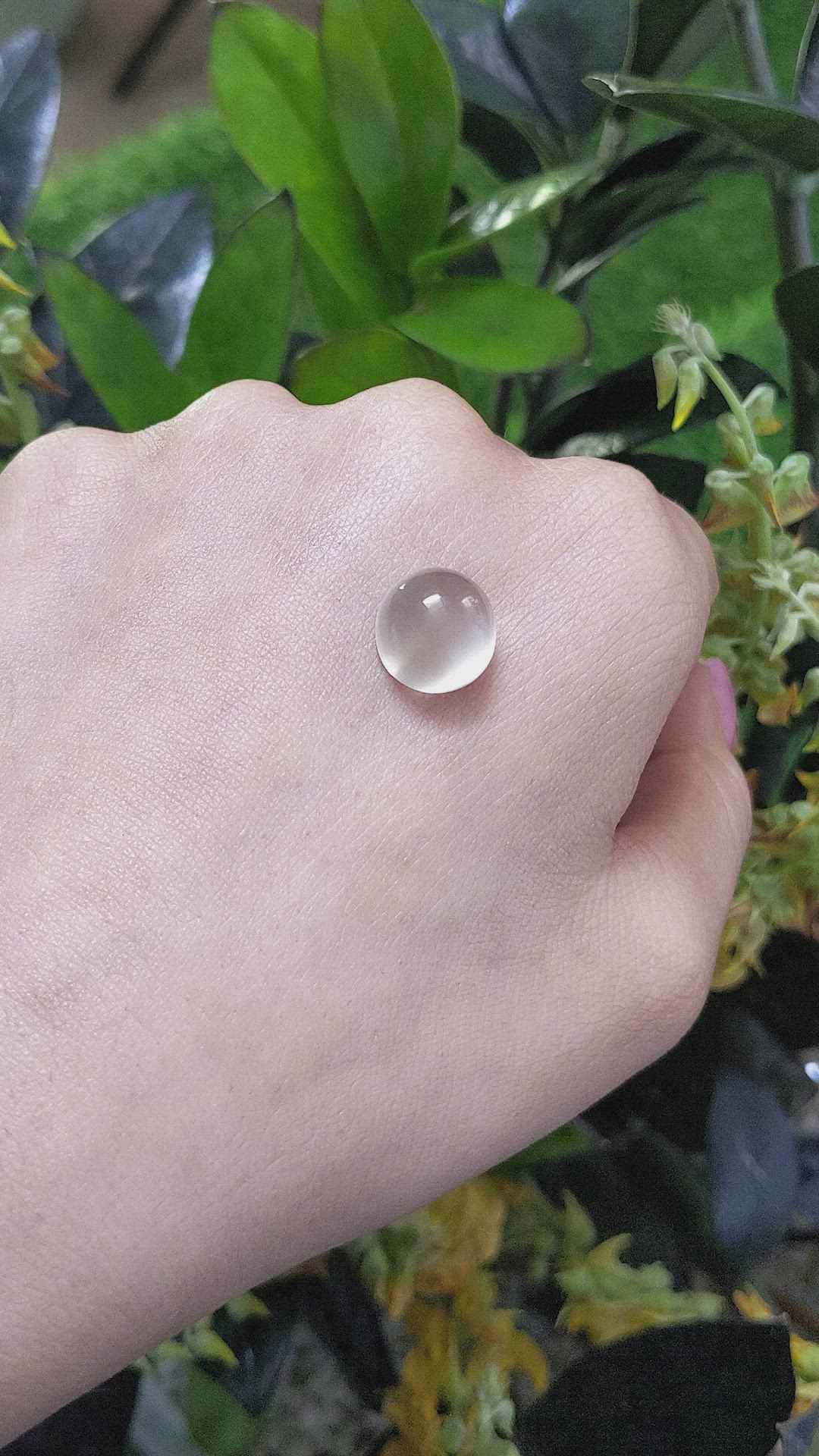 8.01 Ct. Cabochon Moonstone from Ceylon (Sri Lanka) Size Video