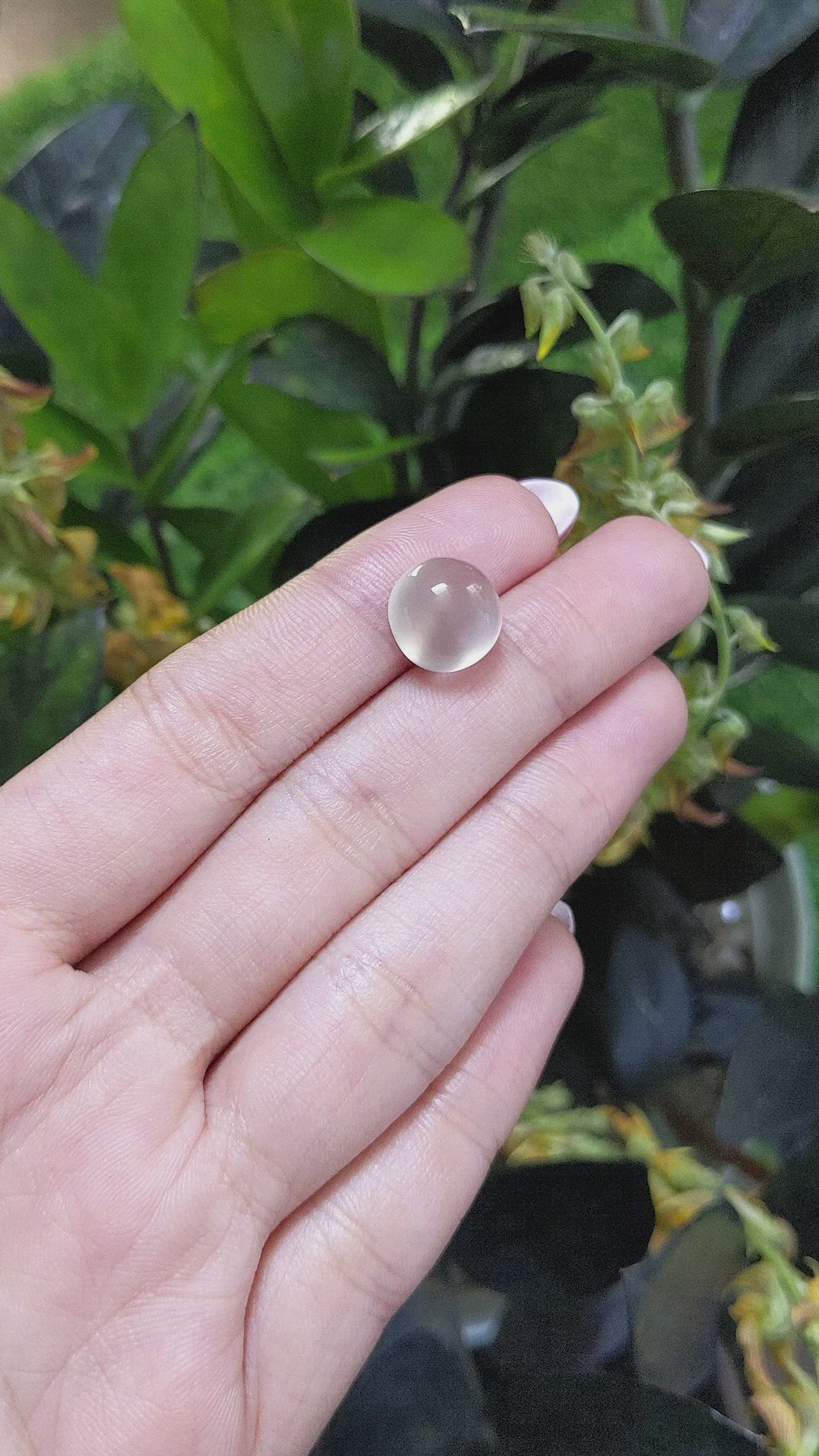 8.01 Ct. Cabochon Moonstone from Ceylon (Sri Lanka) Size Video