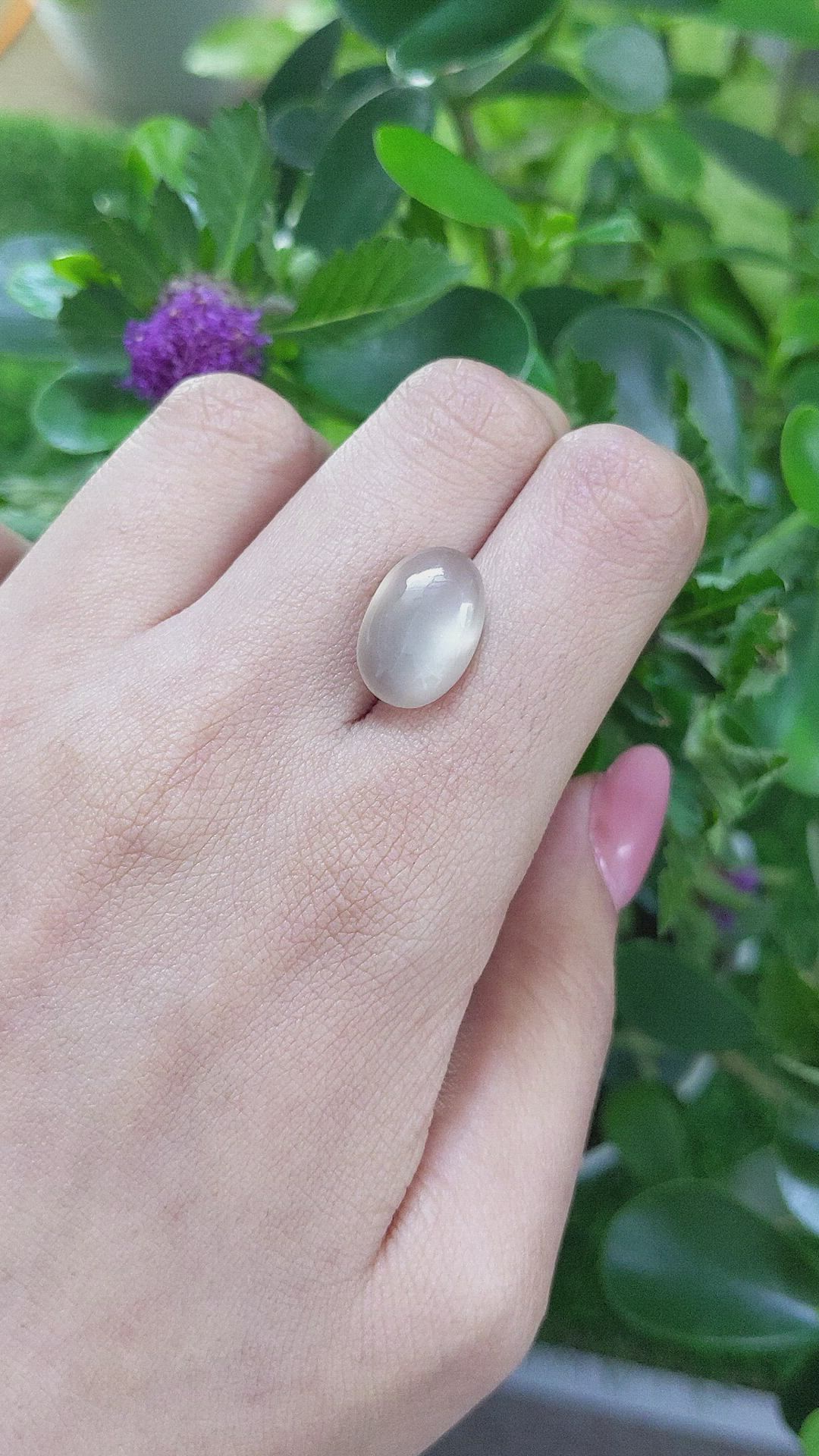 7.45 Ct. Cabochon Moonstone from Ceylon (Sri Lanka) Size Video