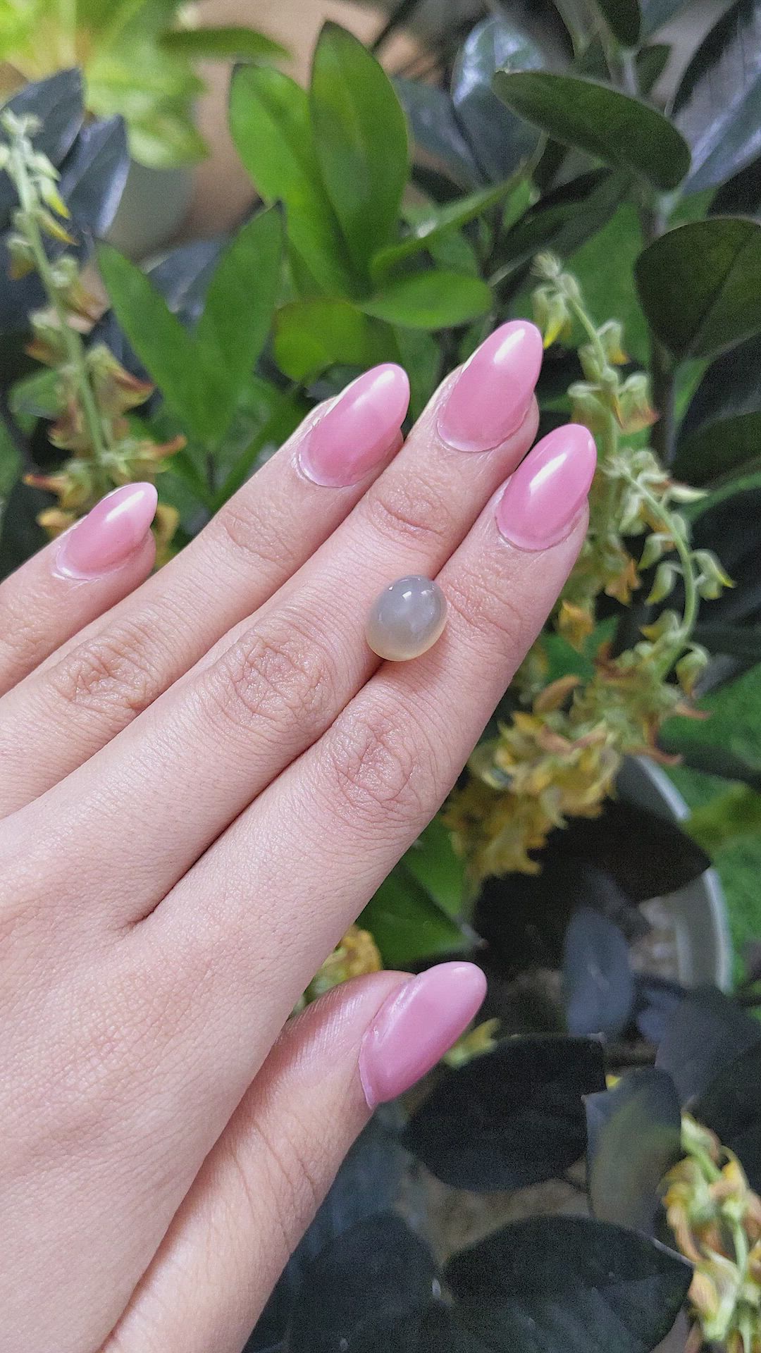 7.13 Ct. Cabochon Moonstone from Ceylon (Sri Lanka) Size Video