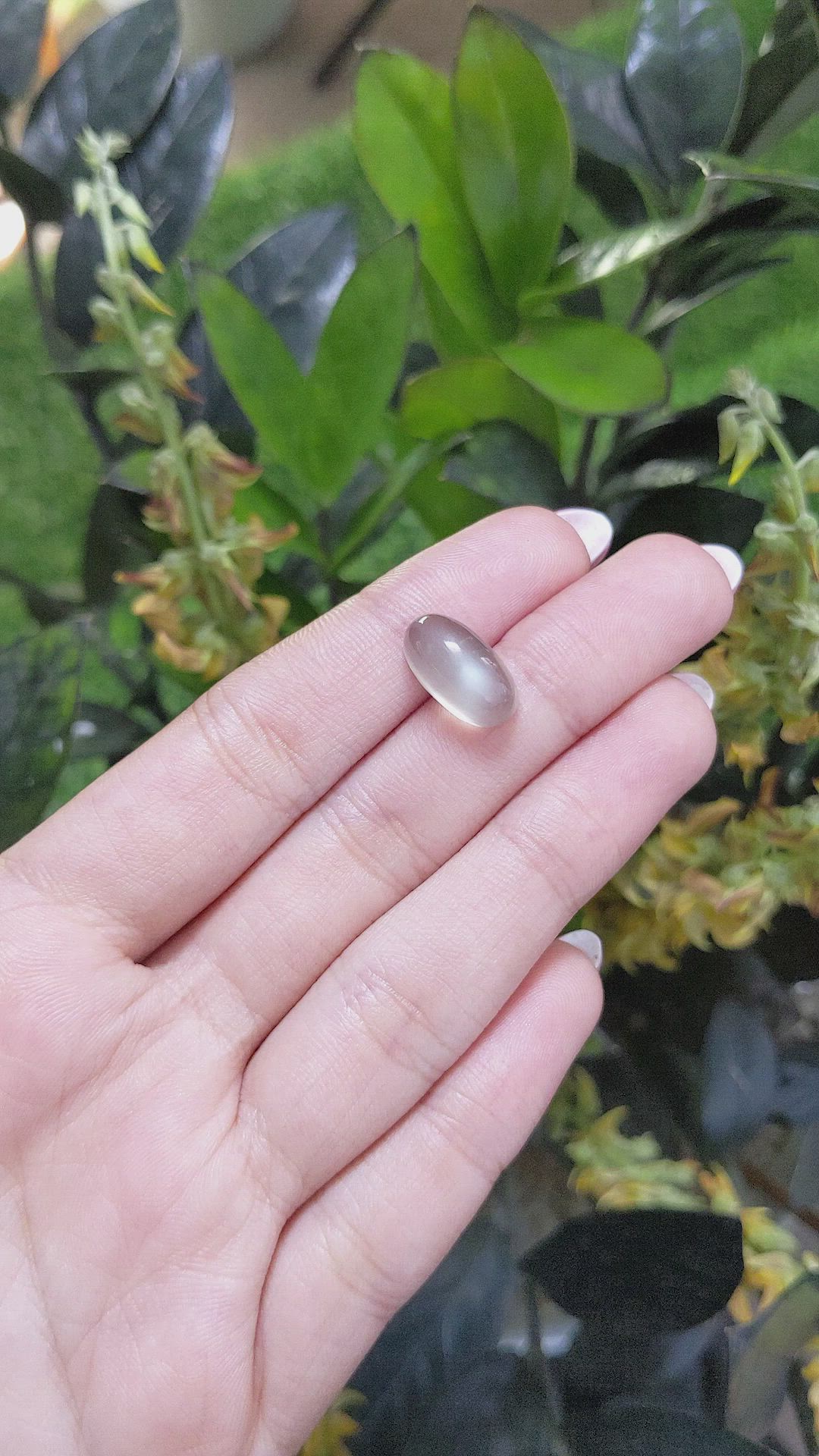 9.38 Ct. Cabochon Moonstone from Ceylon (Sri Lanka) Size Video