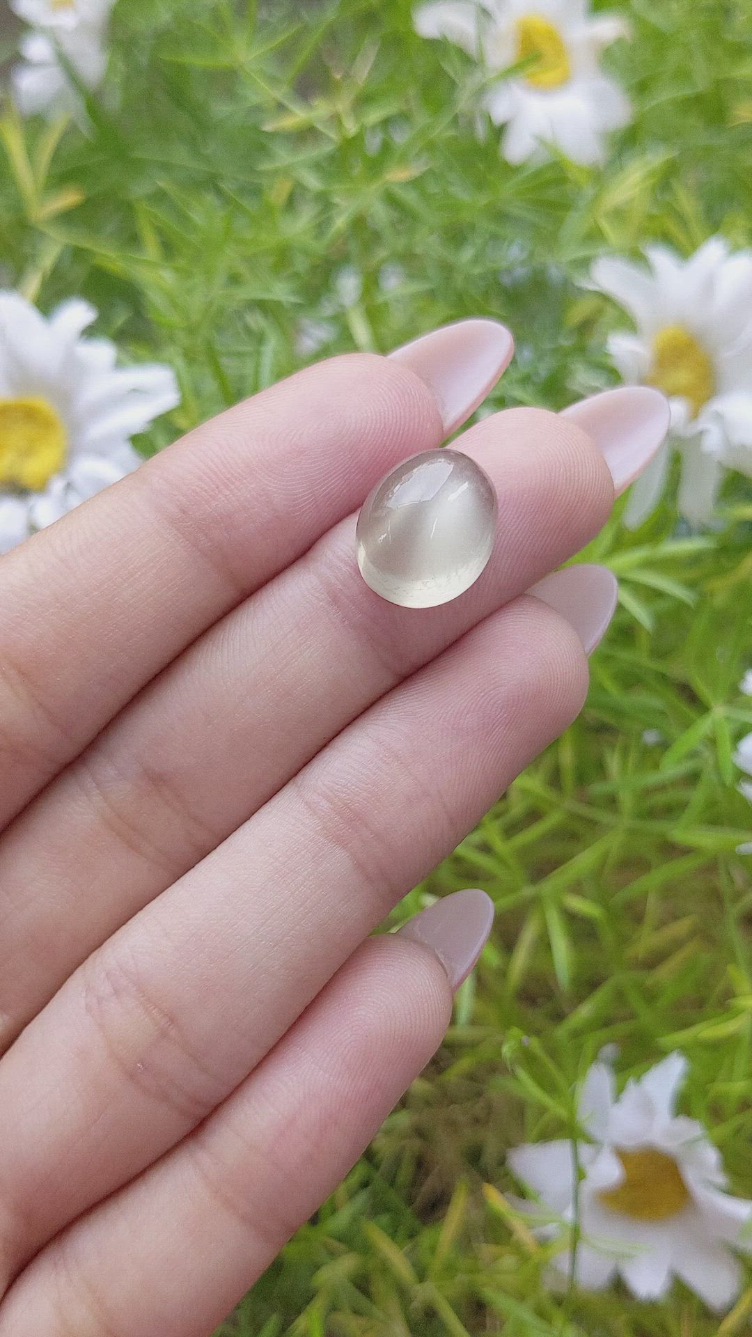 11.39 Ct. Cabochon Moonstone from Ceylon (Sri Lanka) Size Video