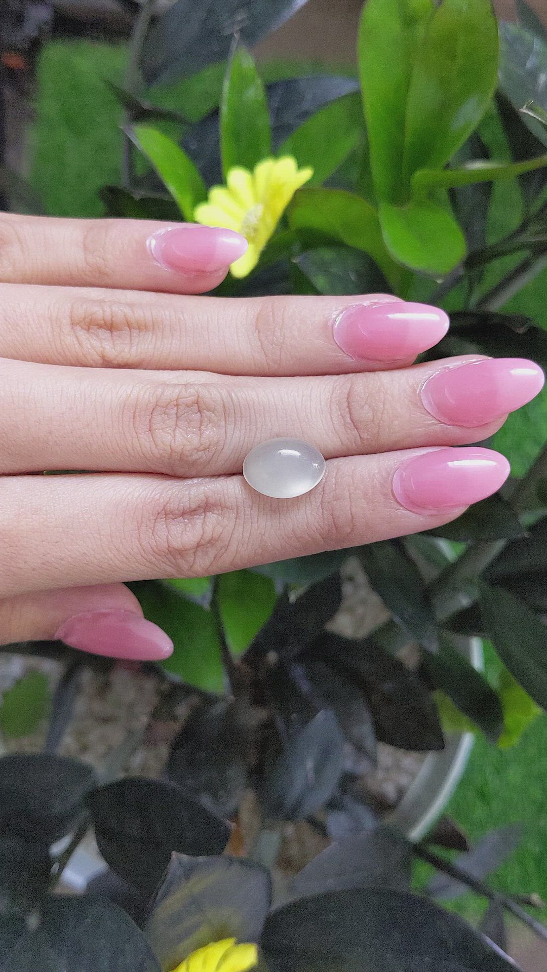 5.25 Ct. Cabochon Moonstone from Ceylon (Sri Lanka) Size Video