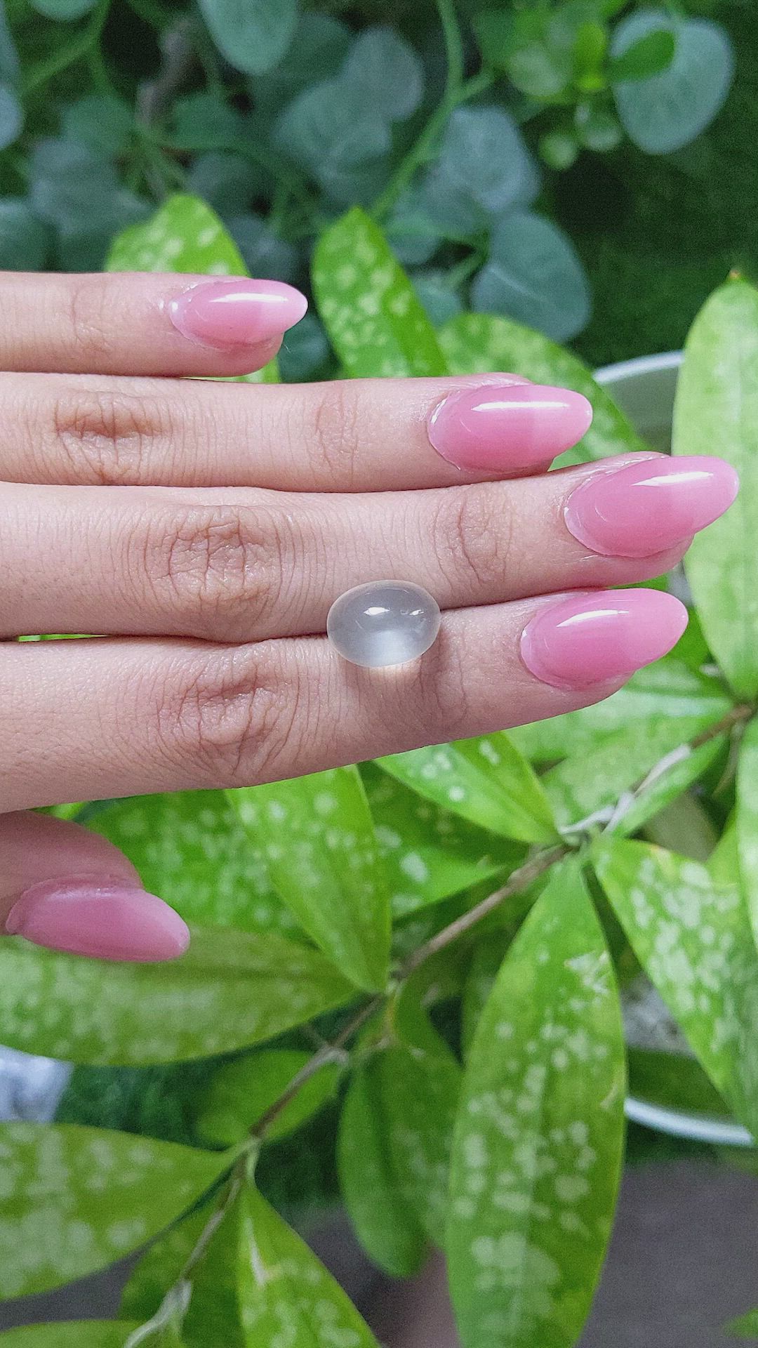 8.69 Ct. Cabochon Moonstone from Ceylon (Sri Lanka) Size Video