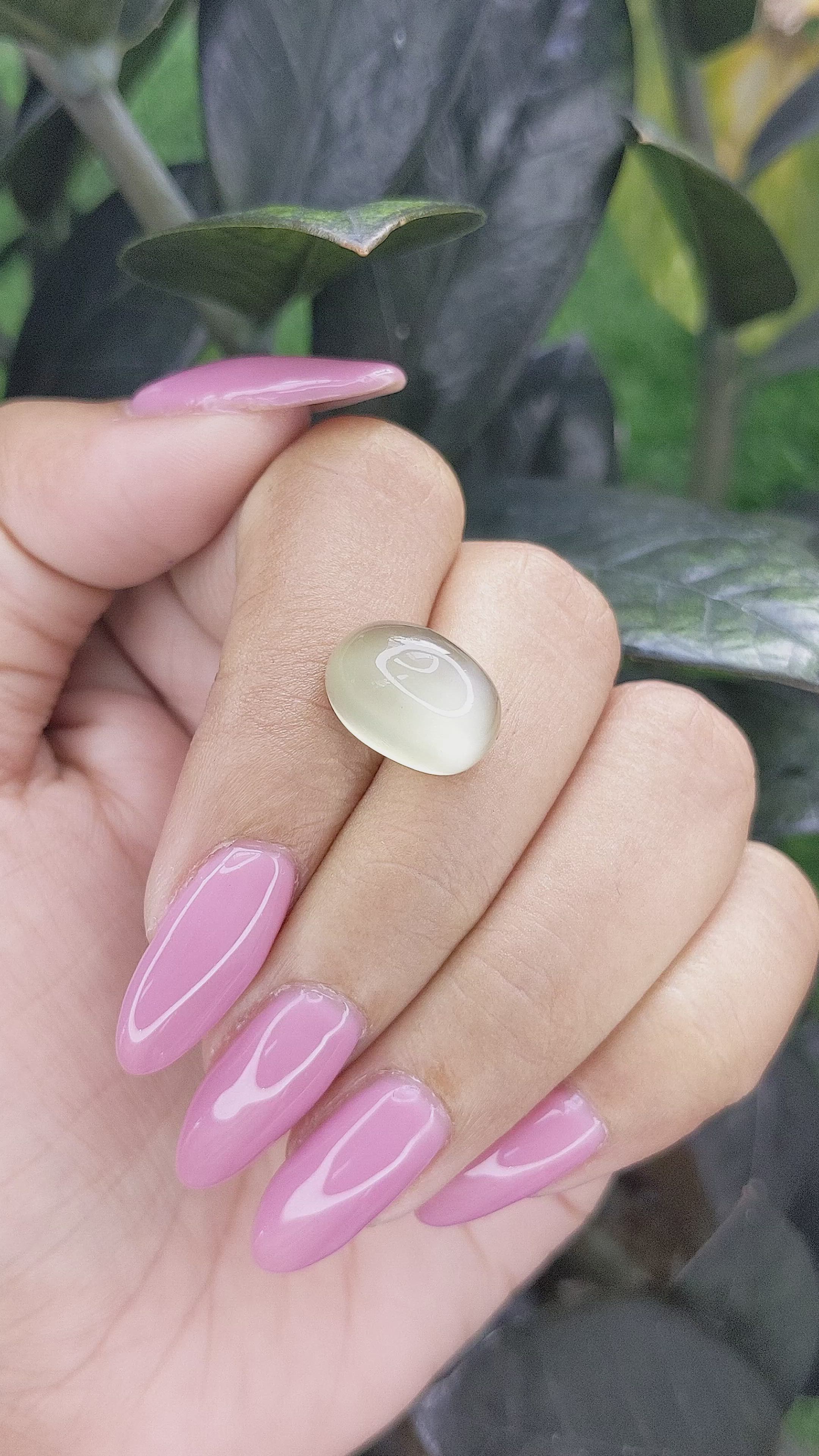 10.79 Ct. Cabochon Moonstone from Ceylon (Sri Lanka) Size Video