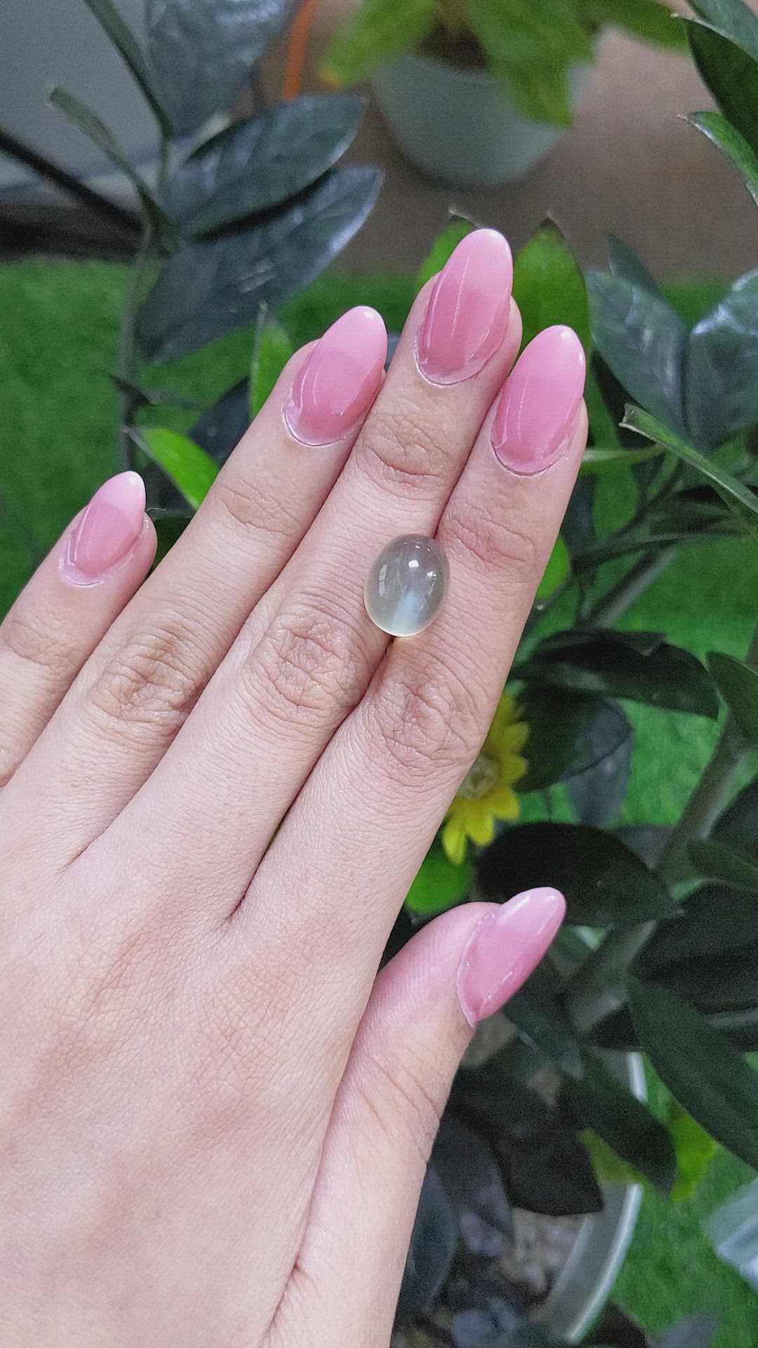 10.04 Ct. Cabochon Moonstone from Ceylon (Sri Lanka) Size Video
