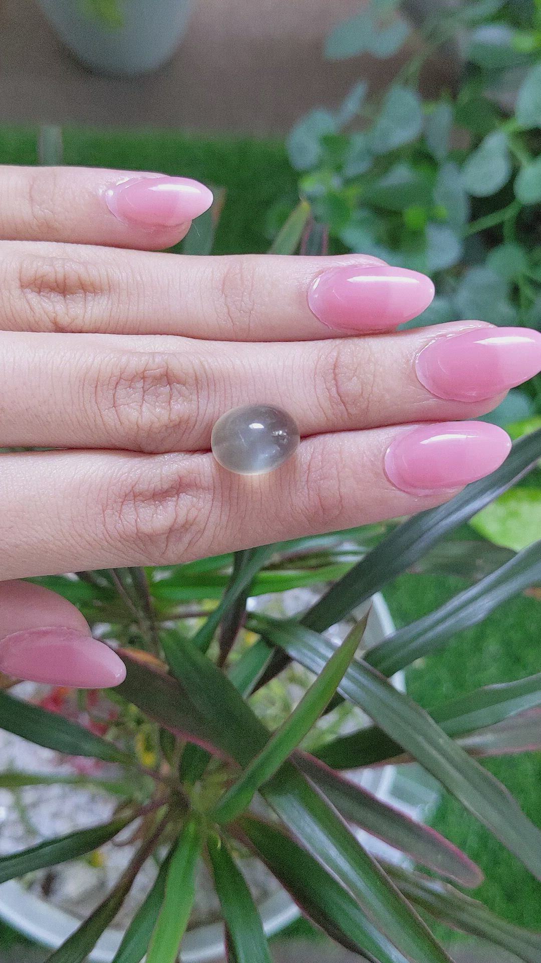 10.04 Ct. Cabochon Moonstone from Ceylon (Sri Lanka) Size Video