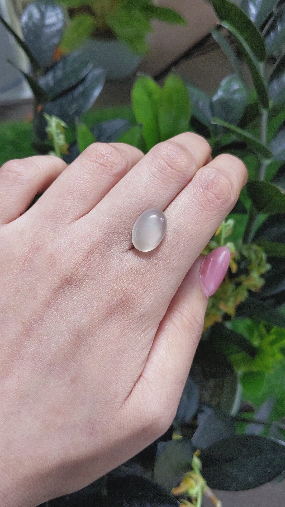 7.70 Ct. Cabochon Moonstone from Ceylon (Sri Lanka) Size Video