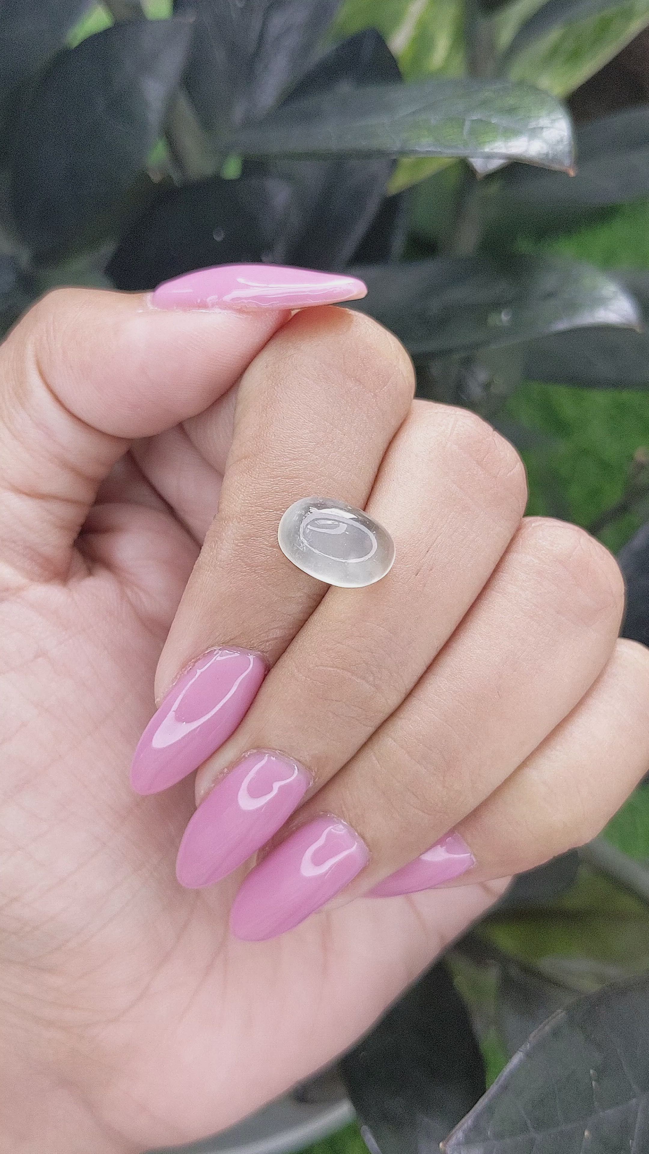 5.03 Ct. Cabochon Moonstone from Ceylon (Sri Lanka) Size Video
