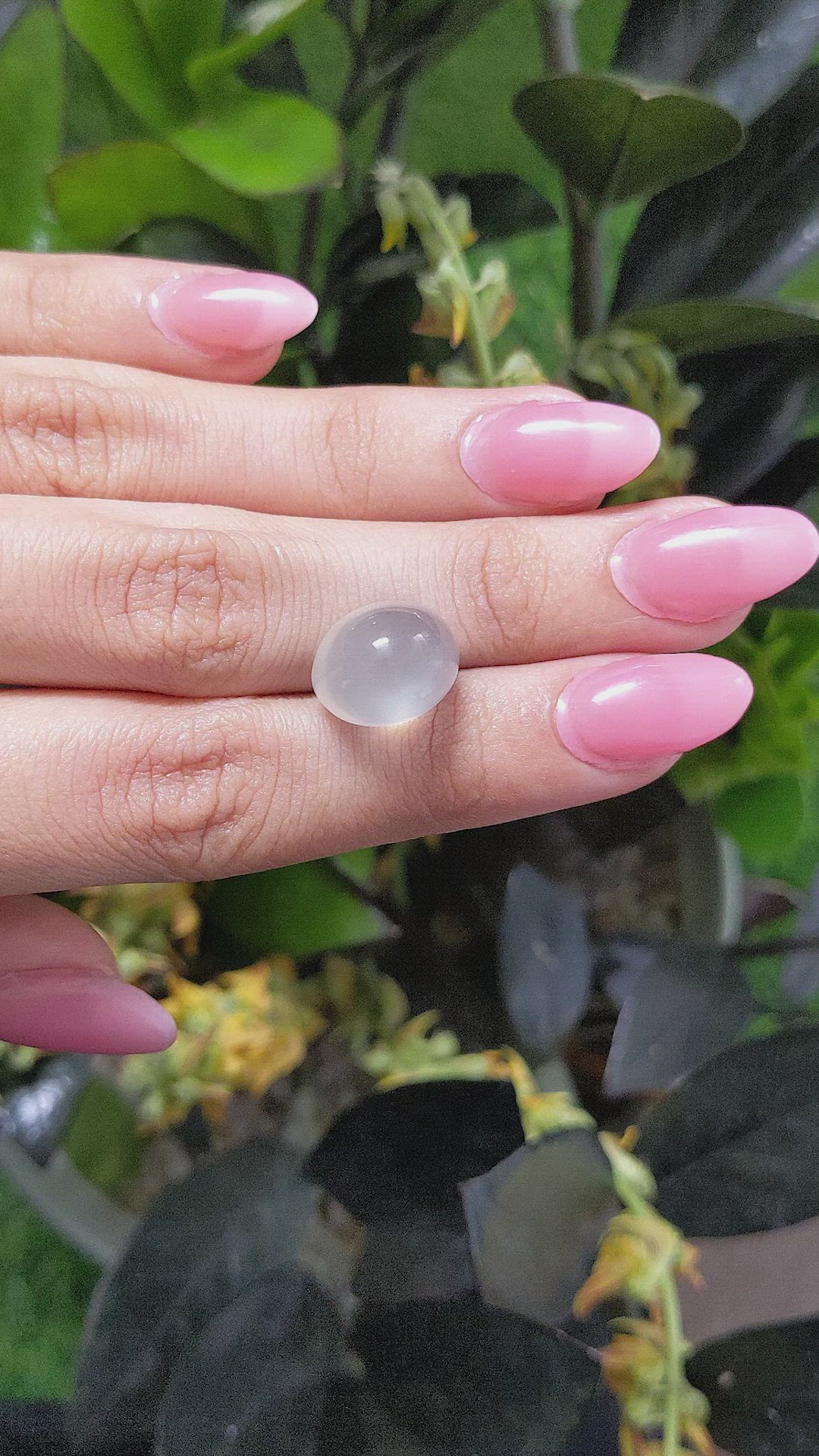 12.30 Ct. Cabochon Moonstone from Ceylon (Sri Lanka) Size Video