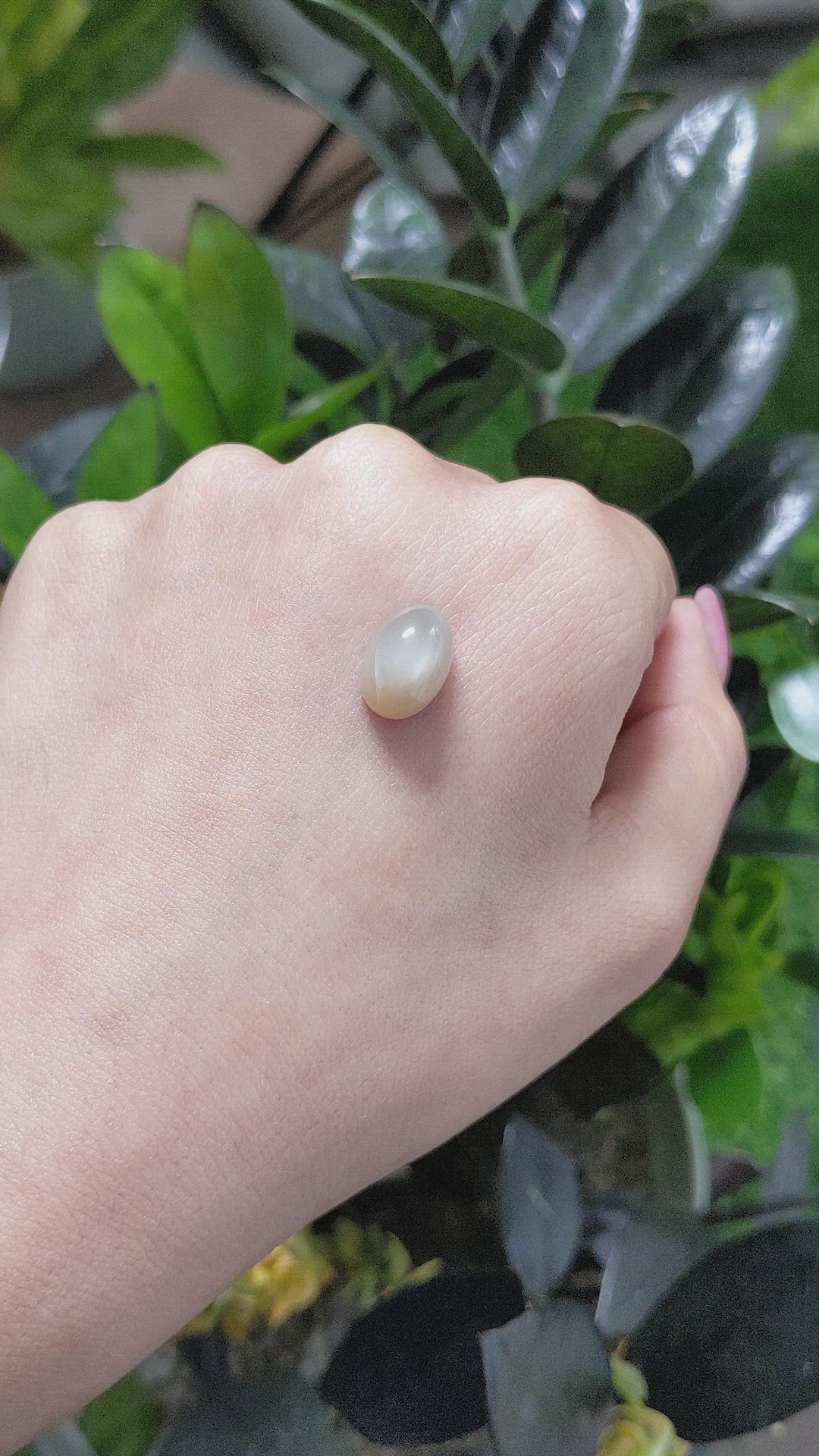 7.23 Ct. Cabochon Moonstone from Ceylon (Sri Lanka) Size Video