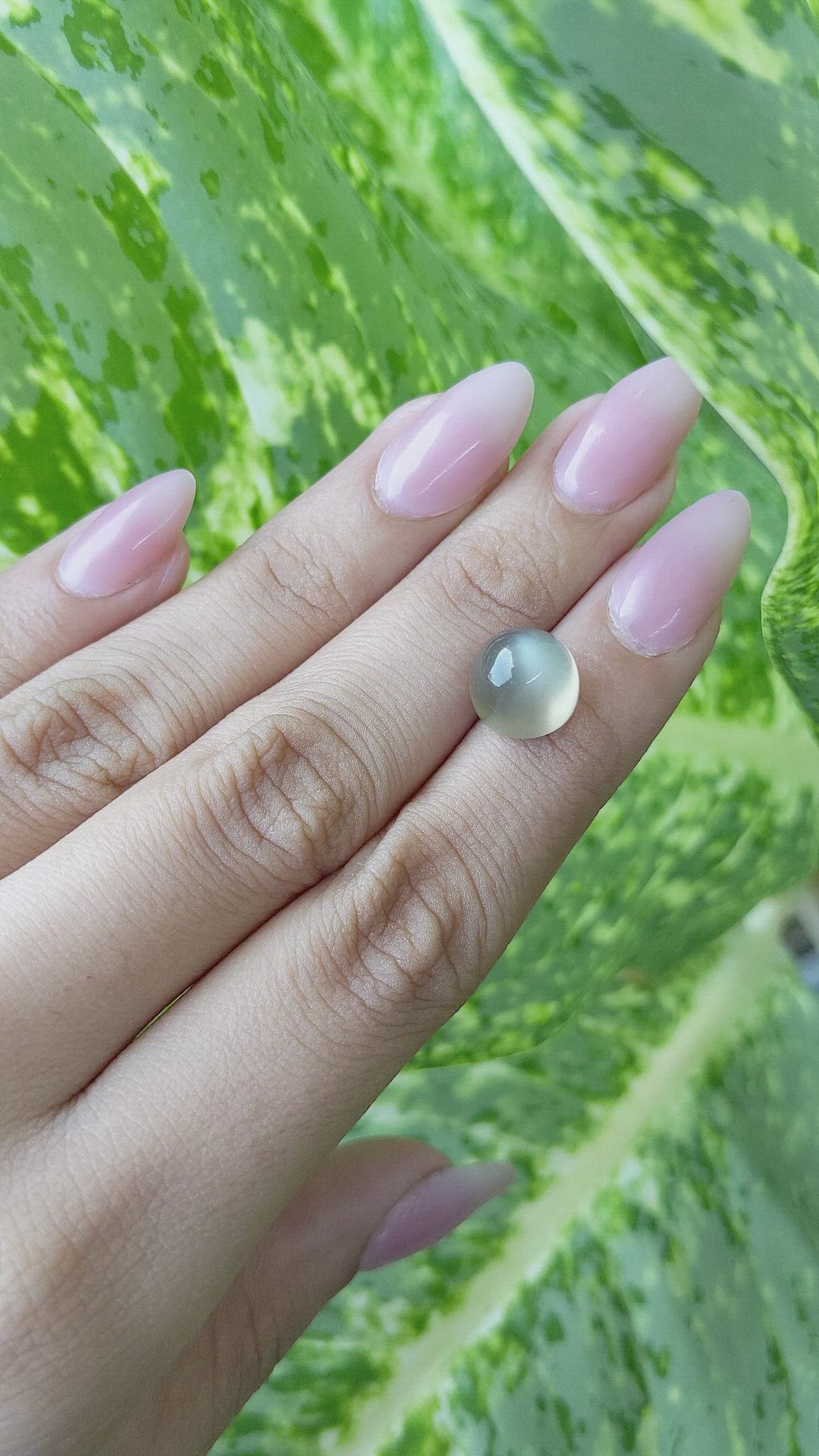 7.06 Ct. Cabochon Moonstone from Ceylon (Sri Lanka) Size Video