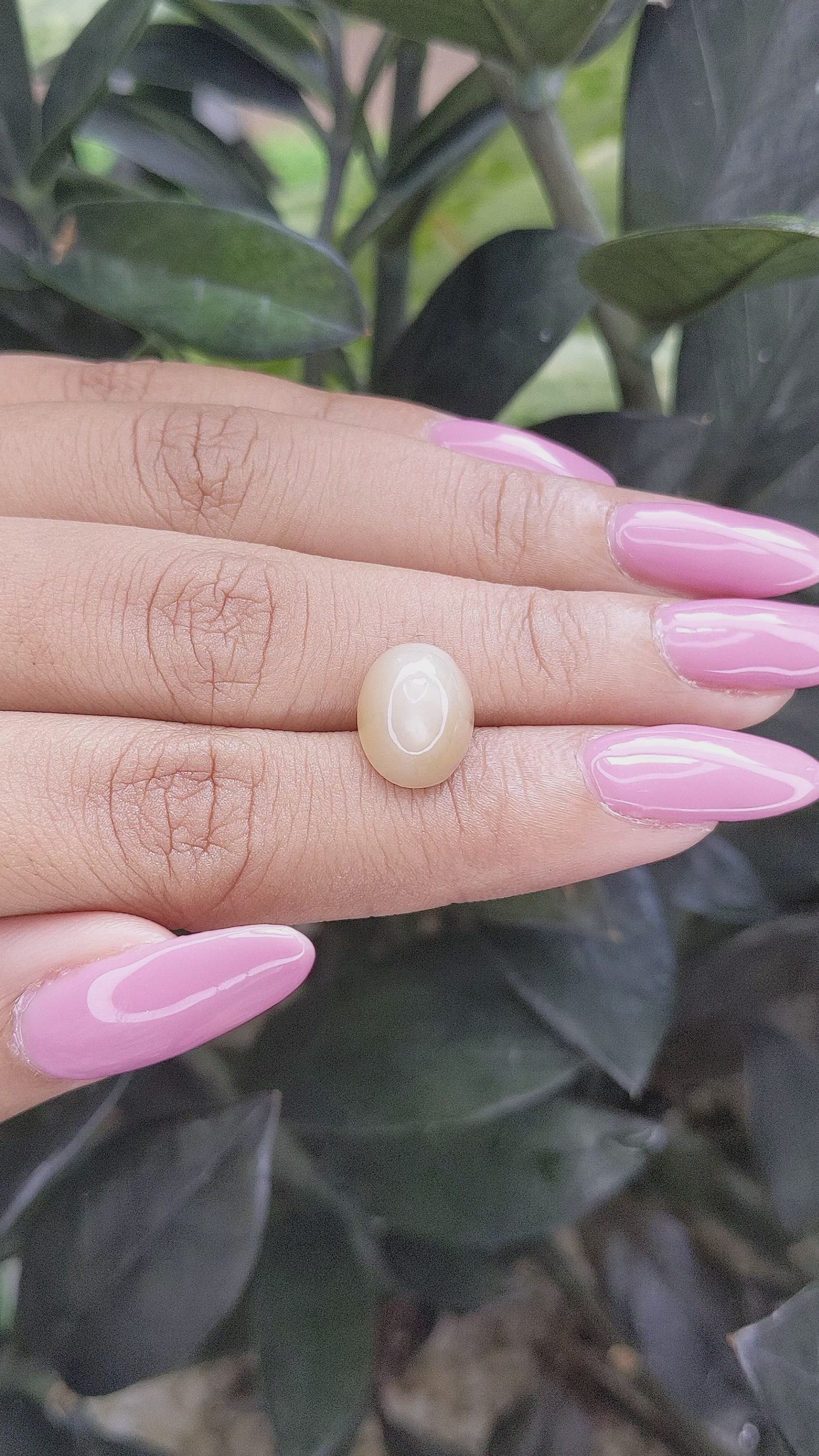 4.49 Ct. Cabochon Moonstone from Ceylon (Sri Lanka) Size Video