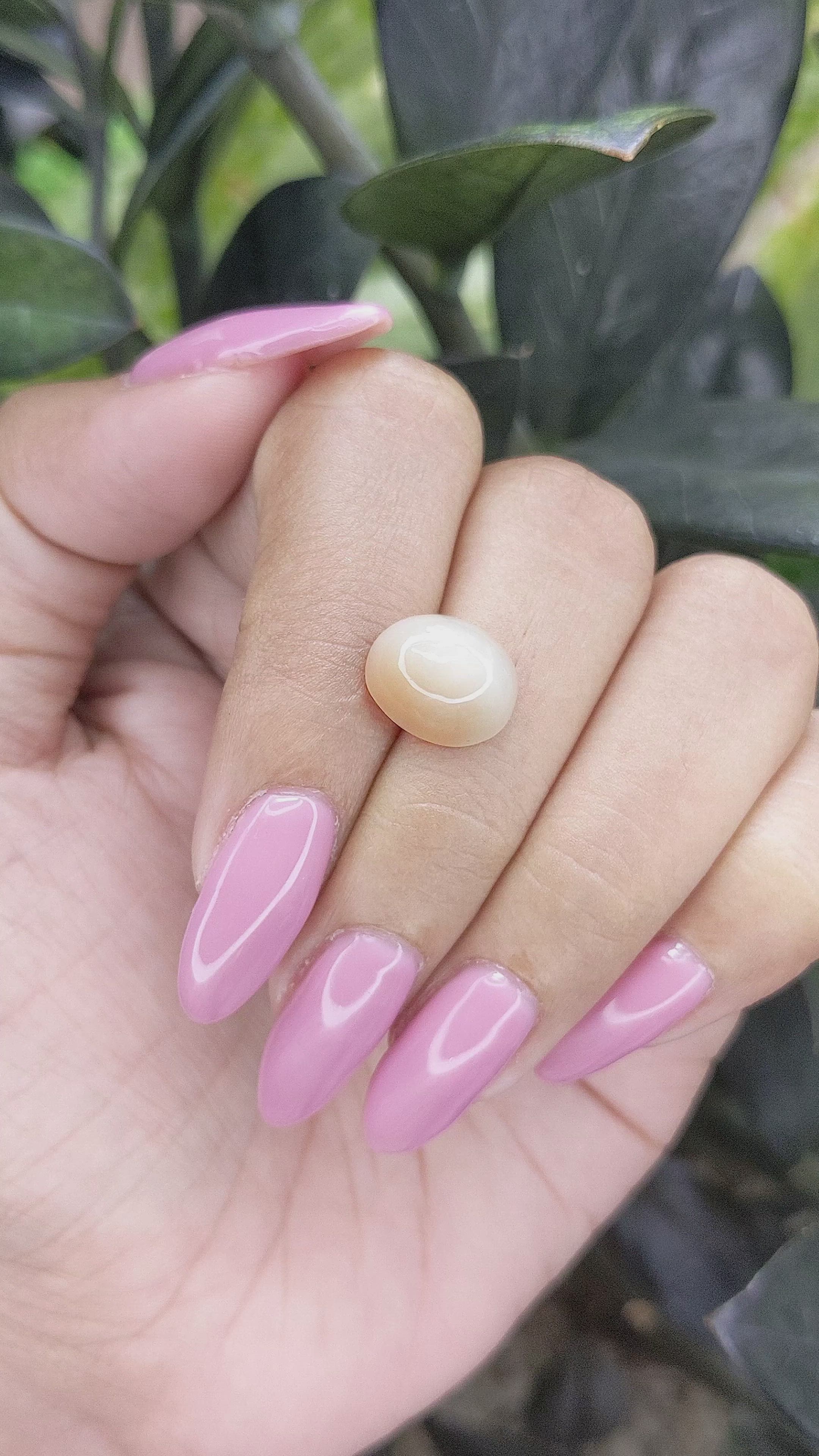 4.49 Ct. Cabochon Moonstone from Ceylon (Sri Lanka) Size Video