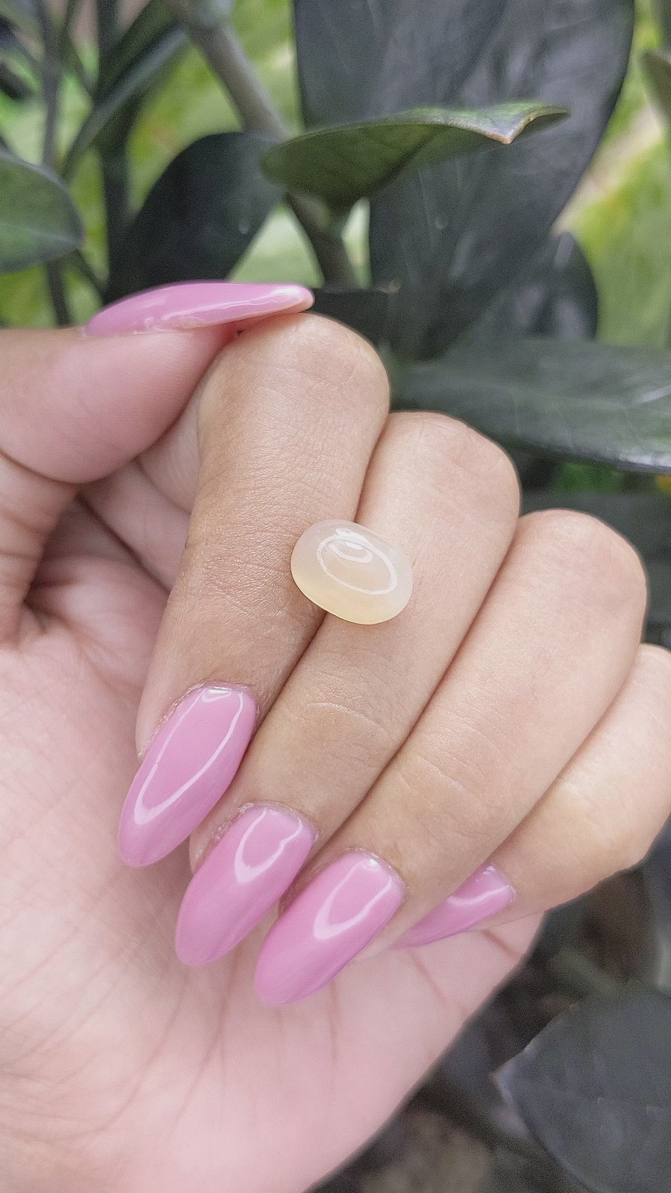 5.51 Ct. Cabochon Moonstone from Ceylon (Sri Lanka) Size Video