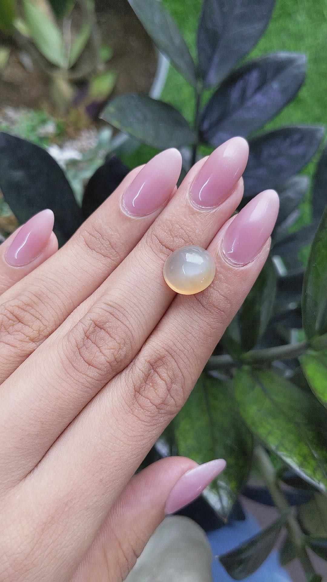 7.15 Ct. Cabochon Moonstone from Ceylon (Sri Lanka) Size Video