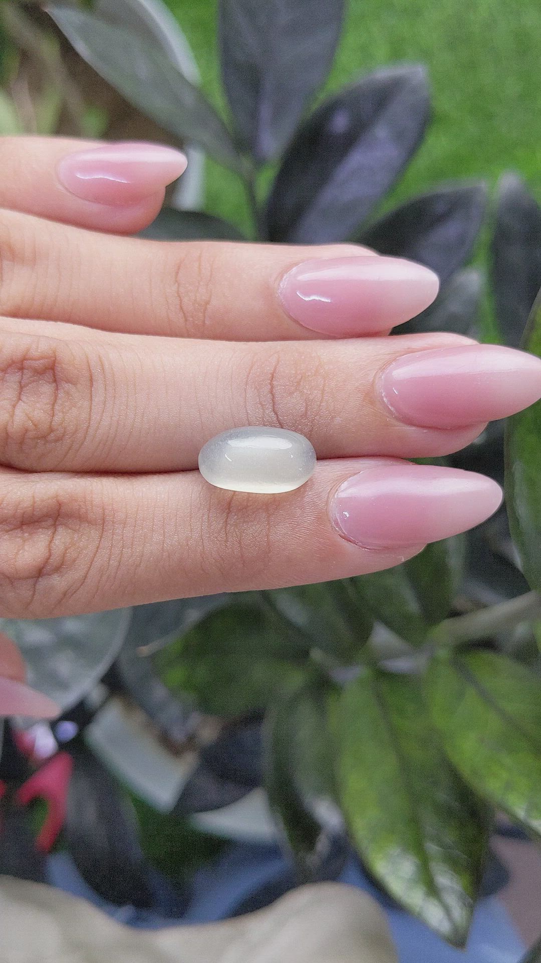 5.55 Ct. Cabochon Moonstone from Ceylon (Sri Lanka) Size Video