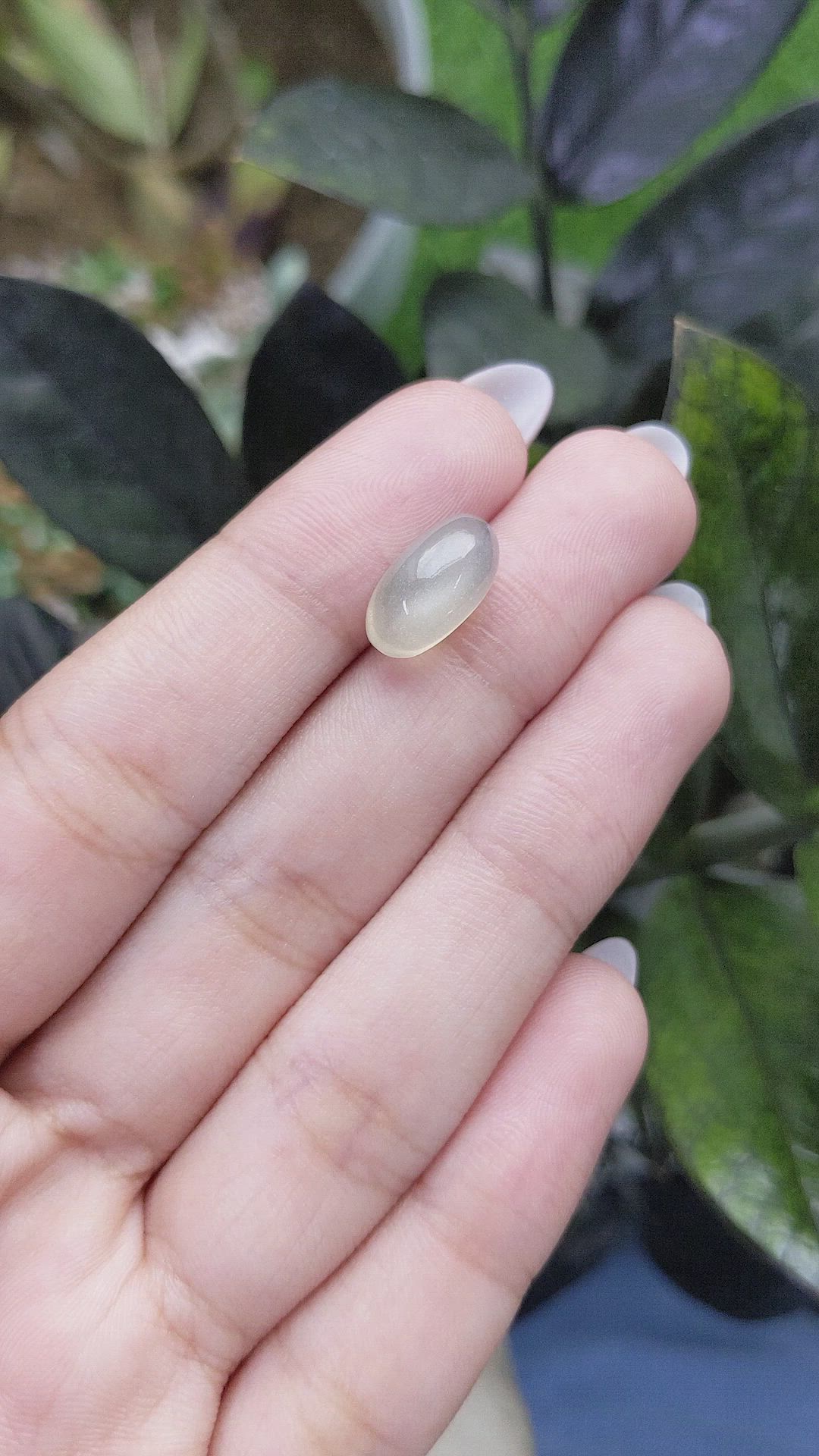 5.55 Ct. Cabochon Moonstone from Ceylon (Sri Lanka) Size Video