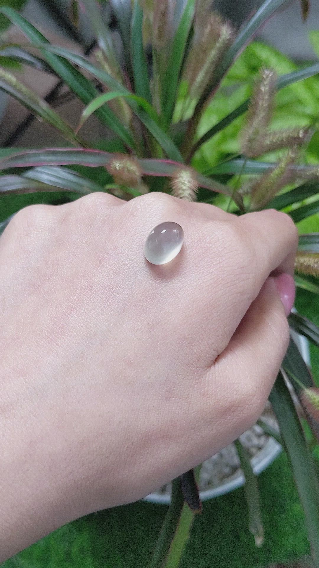 7.32 Ct. Cabochon Moonstone from Ceylon (Sri Lanka) Size Video