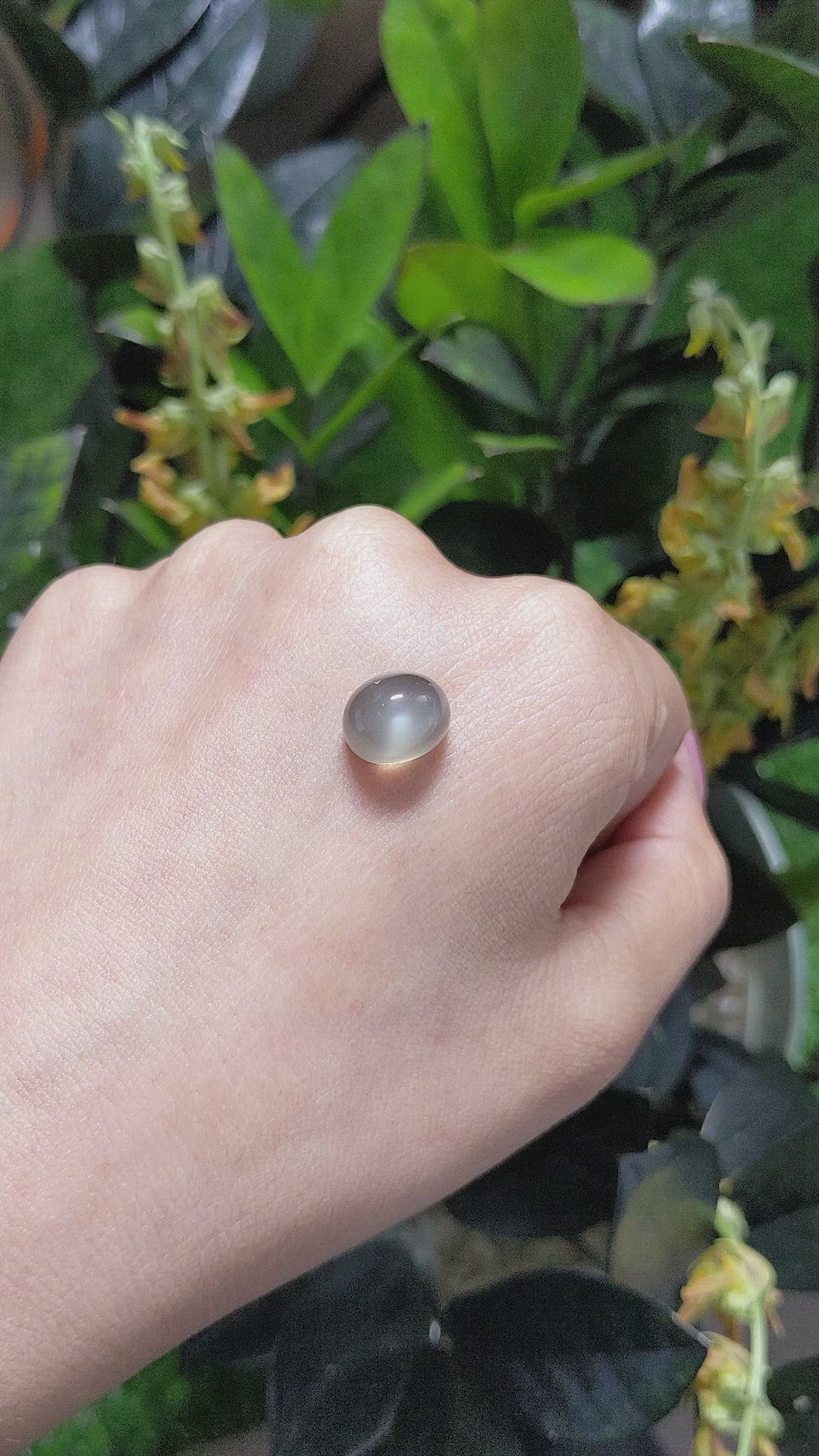7.19 Ct. Cabochon Moonstone from Ceylon (Sri Lanka) Size Video