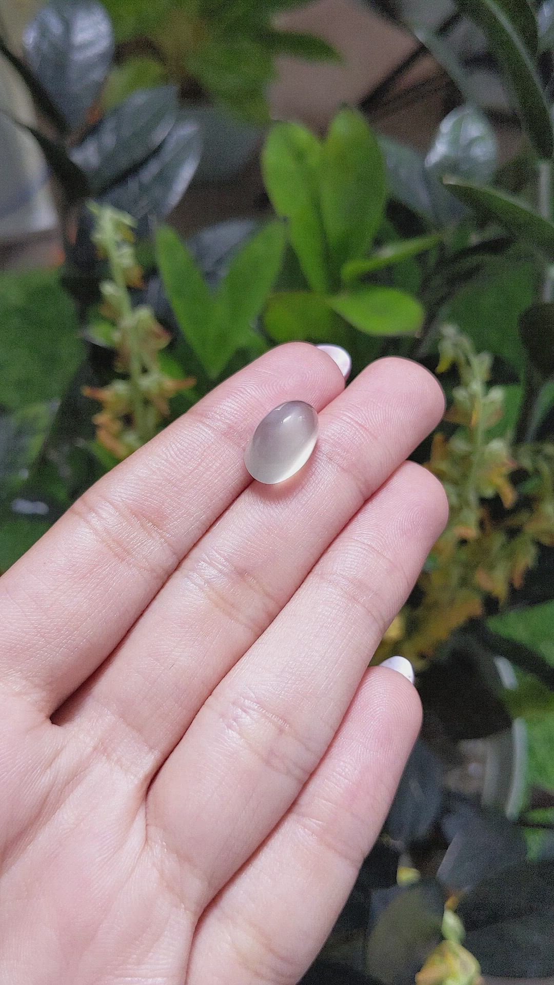 8.43 Ct. Cabochon Moonstone from Ceylon (Sri Lanka) Size Video