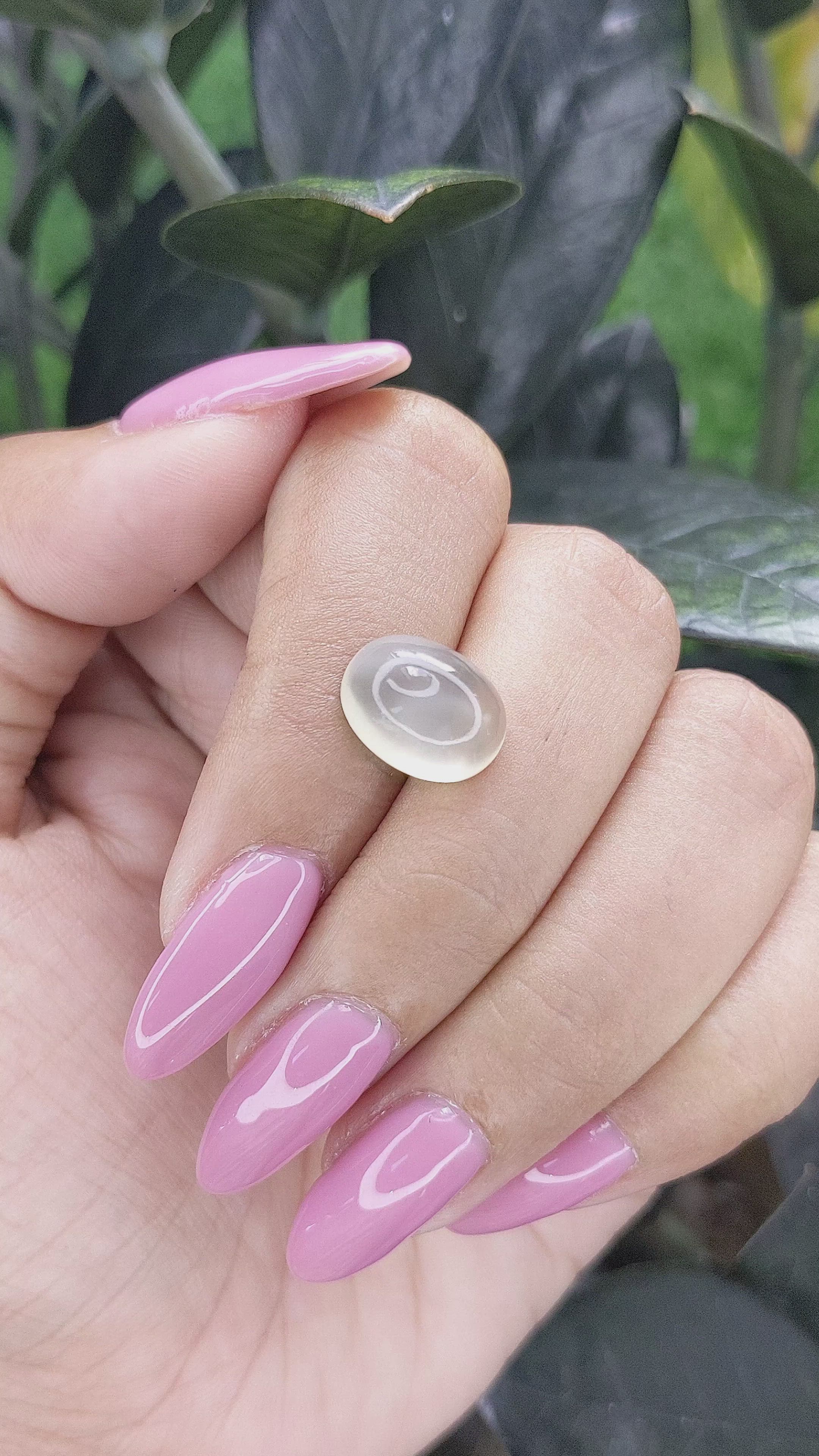 5.61 Ct. Cabochon Moonstone from Ceylon (Sri Lanka) Size Video