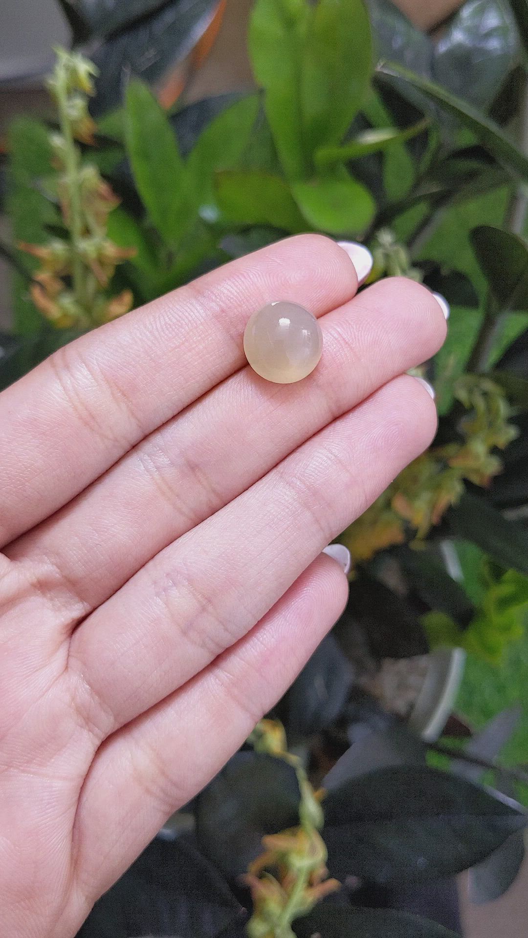 7.34 Ct. Cabochon Moonstone from Ceylon (Sri Lanka) Size Video