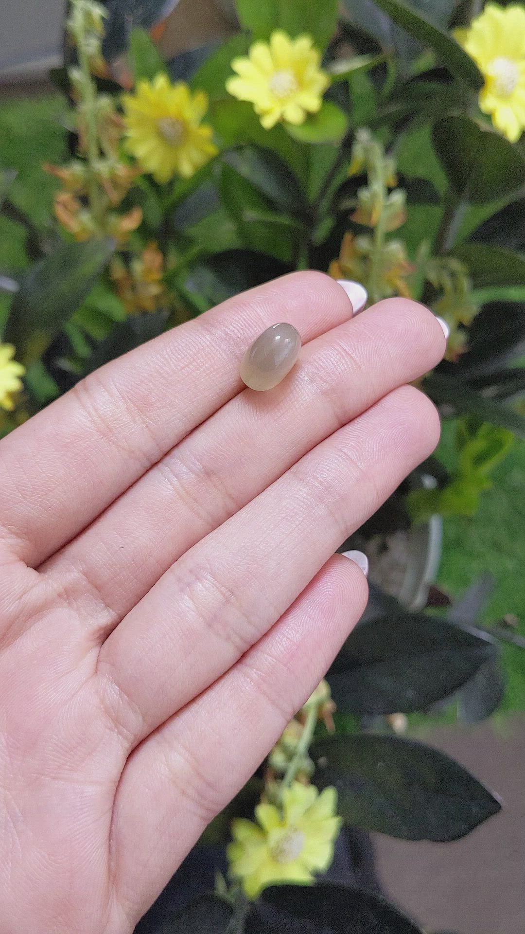 6.55 Ct. Cabochon Moonstone from Ceylon (Sri Lanka) Size Video