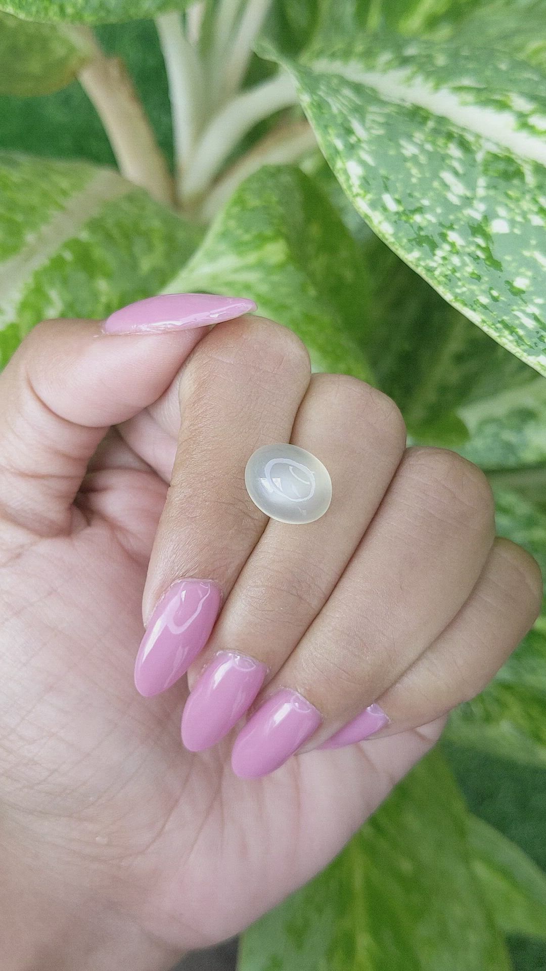 8.14 Ct. Cabochon Moonstone from Ceylon (Sri Lanka) Size Video