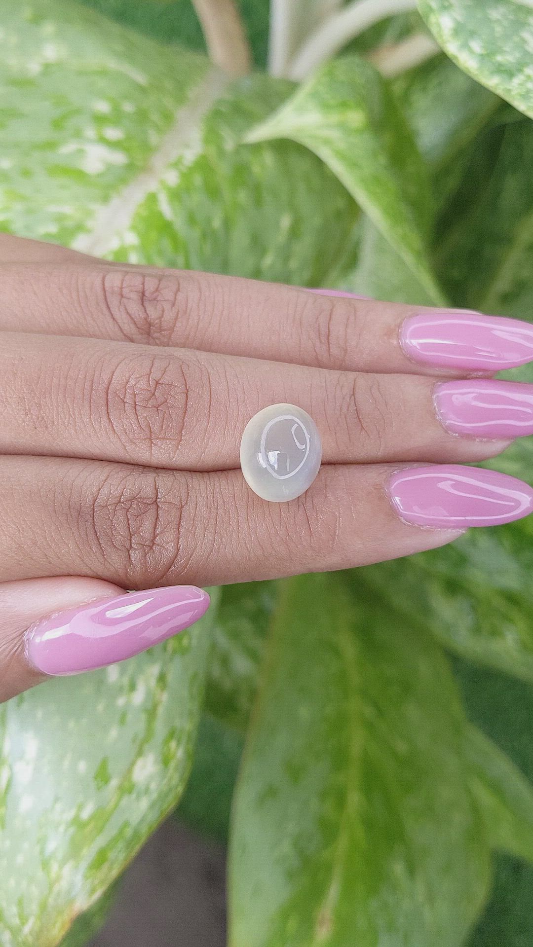 8.14 Ct. Cabochon Moonstone from Ceylon (Sri Lanka) Size Video