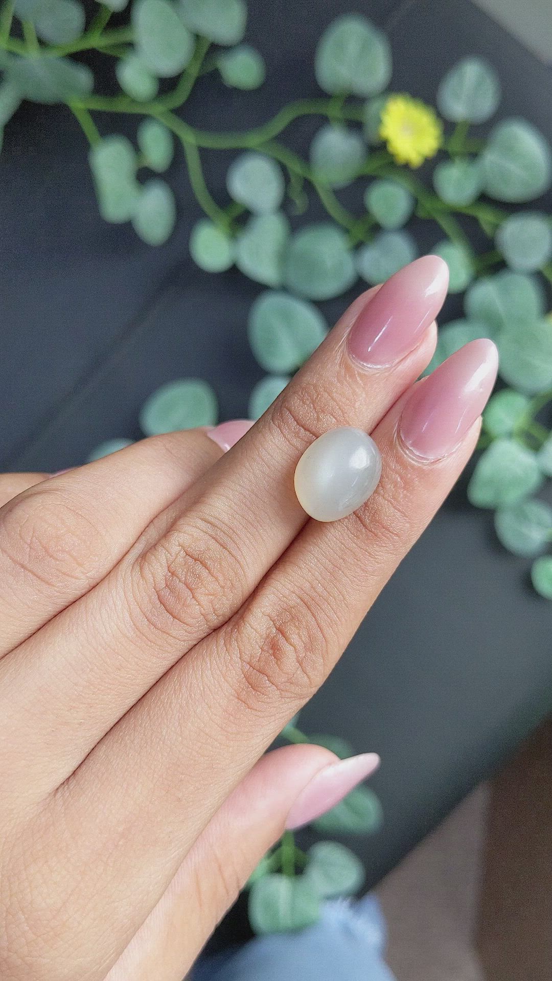10.77 Ct. Cabochon Moonstone from Ceylon (Sri Lanka) Size Video