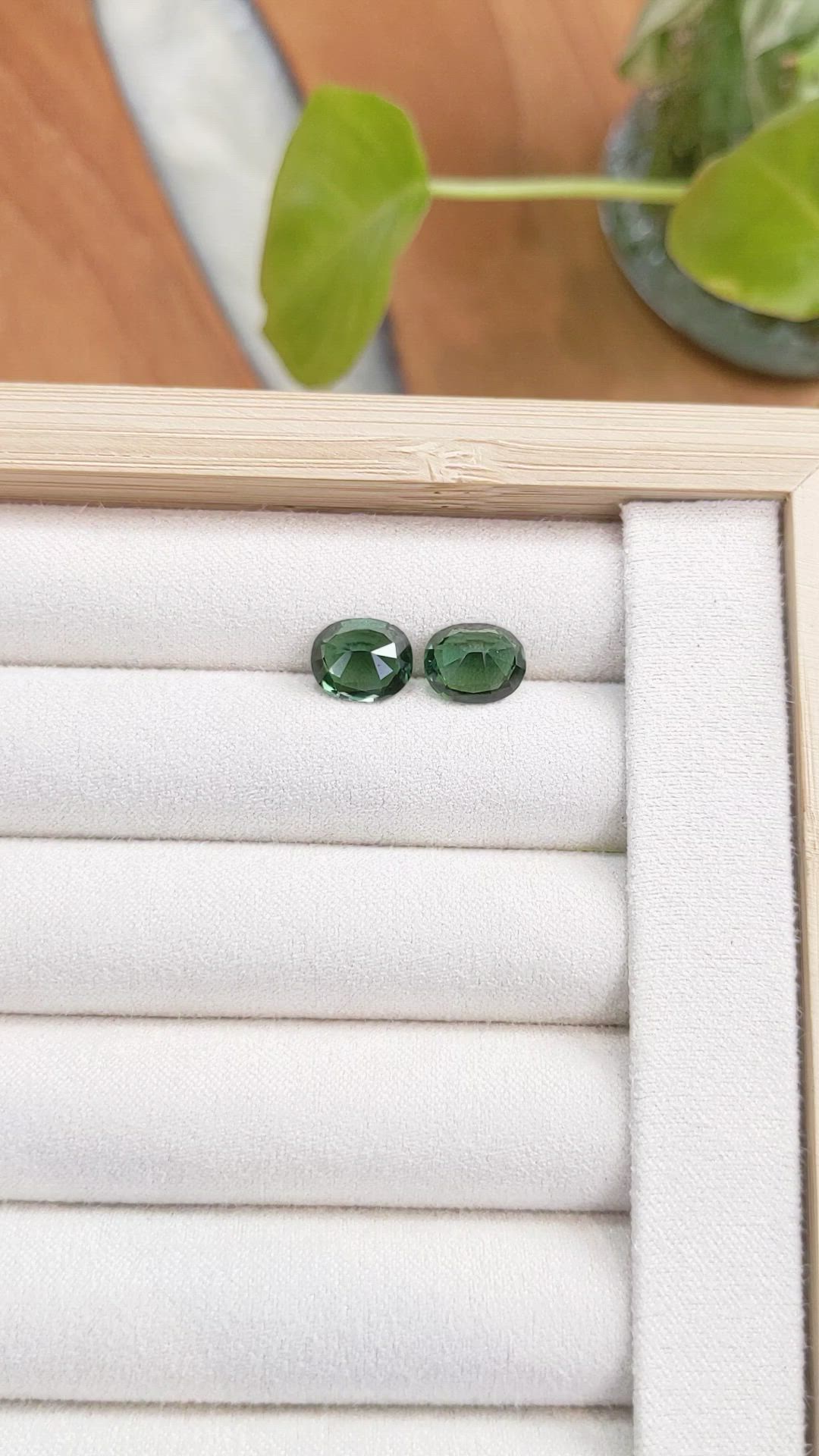 4.31 Ct.Tw.Total Carat Weight Tourmaline Pair from Mozambique Size Video