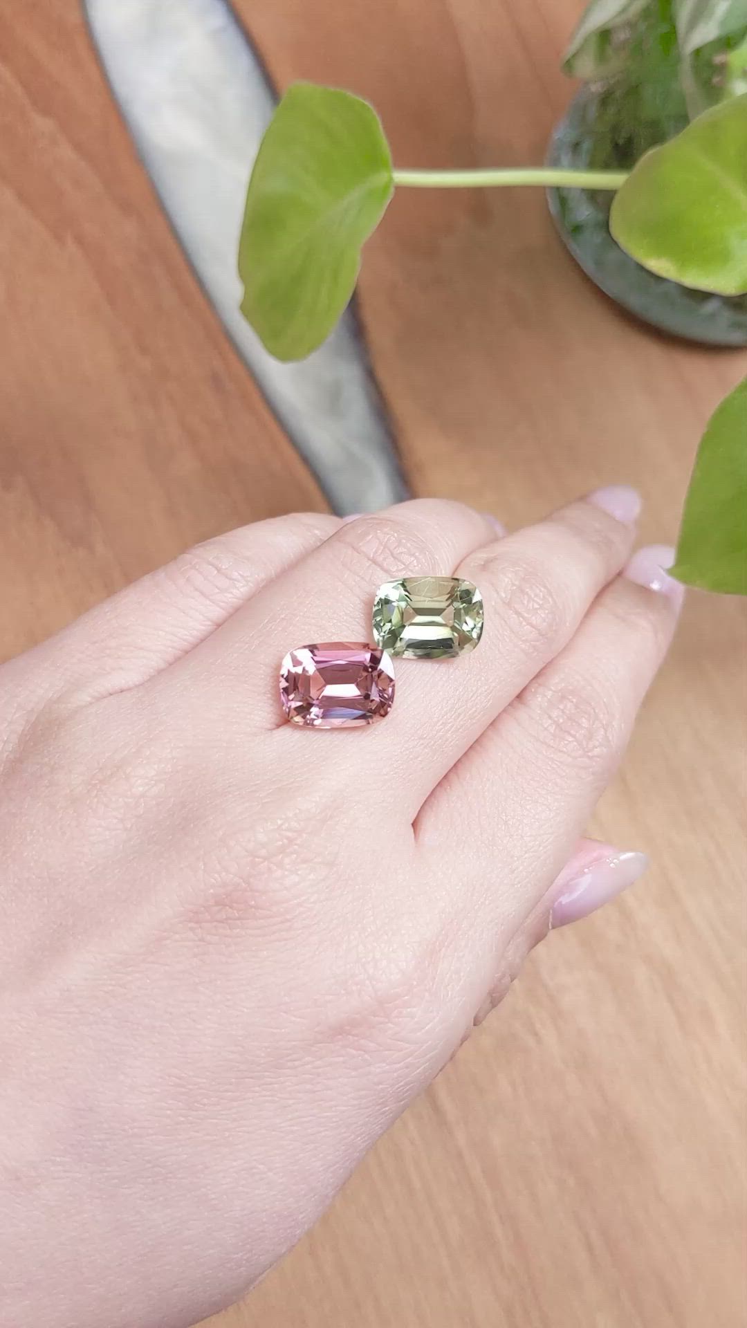 13.10 Ct.Tw.Total Carat Weight Tourmaline Pair from Mozambique Size Video