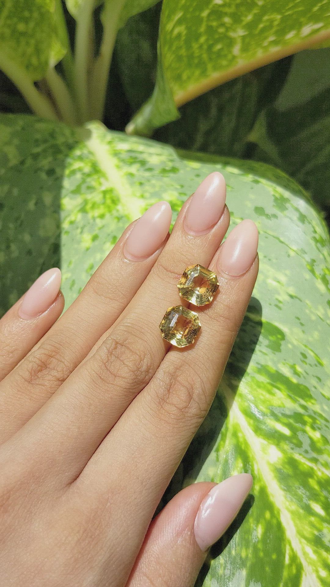 9.47 Ct.Tw.Total Carat Weight Citrine Pair from Ceylon (Sri Lanka) Size Video