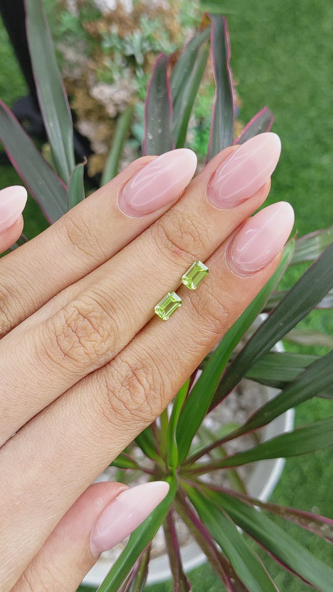 1.12&nbsp;Ct.Tw.Total Carat Weight Peridot Pair from Ceylon (Sri Lanka) Size Video