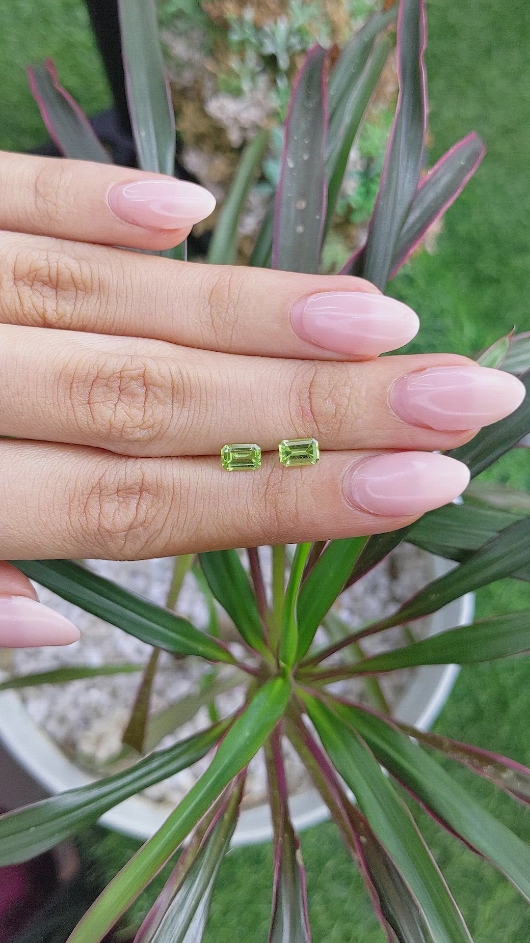 1.12&nbsp;Ct.Tw.Total Carat Weight Peridot Pair from Ceylon (Sri Lanka) Size Video