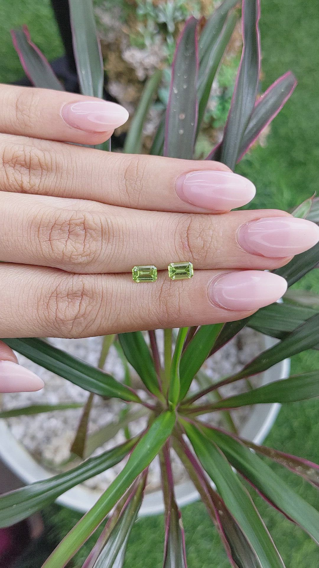 1.06&nbsp;Ct.Tw.Total Carat Weight Peridot Pair from Ceylon (Sri Lanka) Size Video