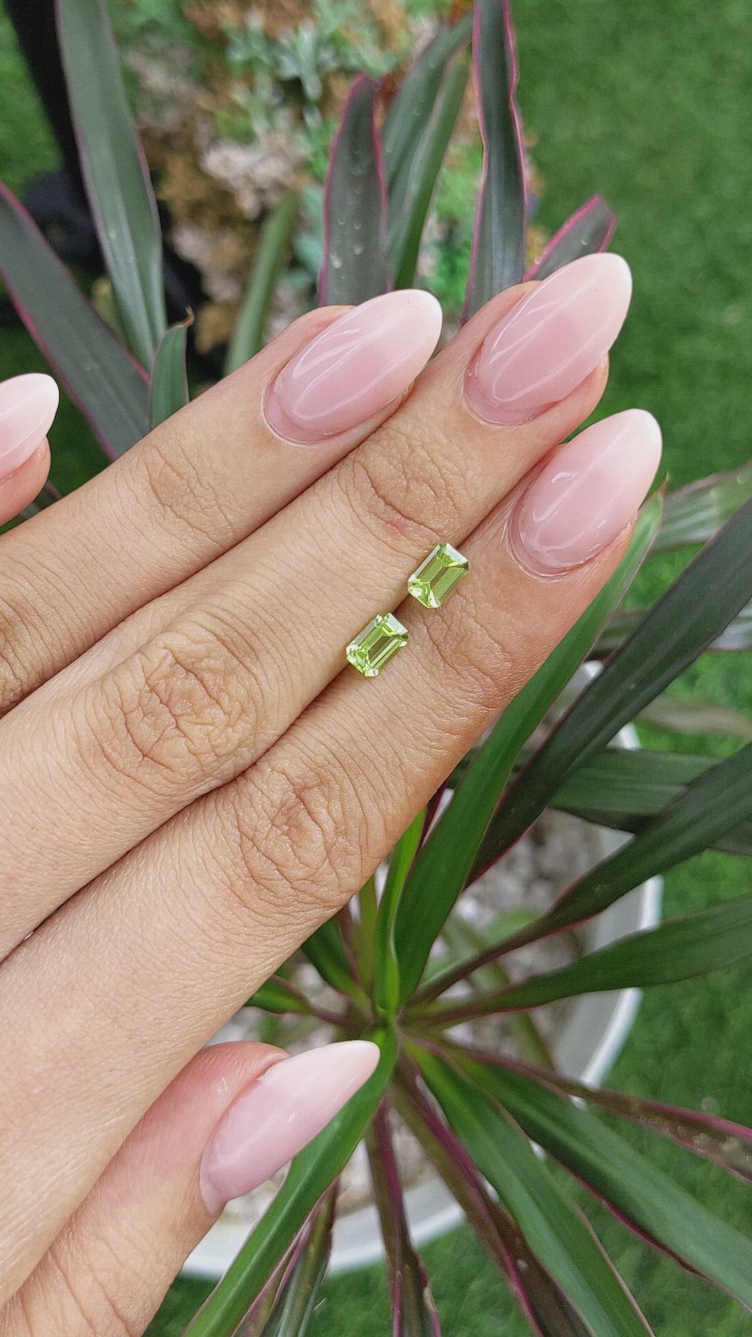 1.06&nbsp;Ct.Tw.Total Carat Weight Peridot Pair from Ceylon (Sri Lanka) Size Video