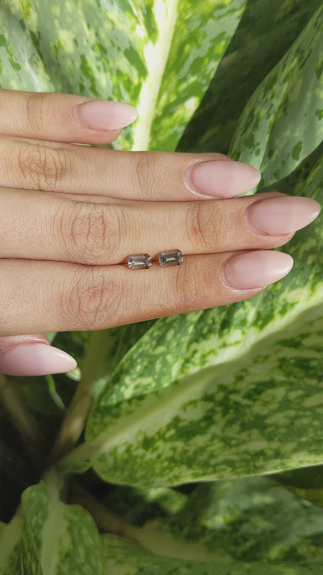 0.92&nbsp;Ct.Tw.Total Carat Weight Smokey Quartz Pair from Madagascar Size Video