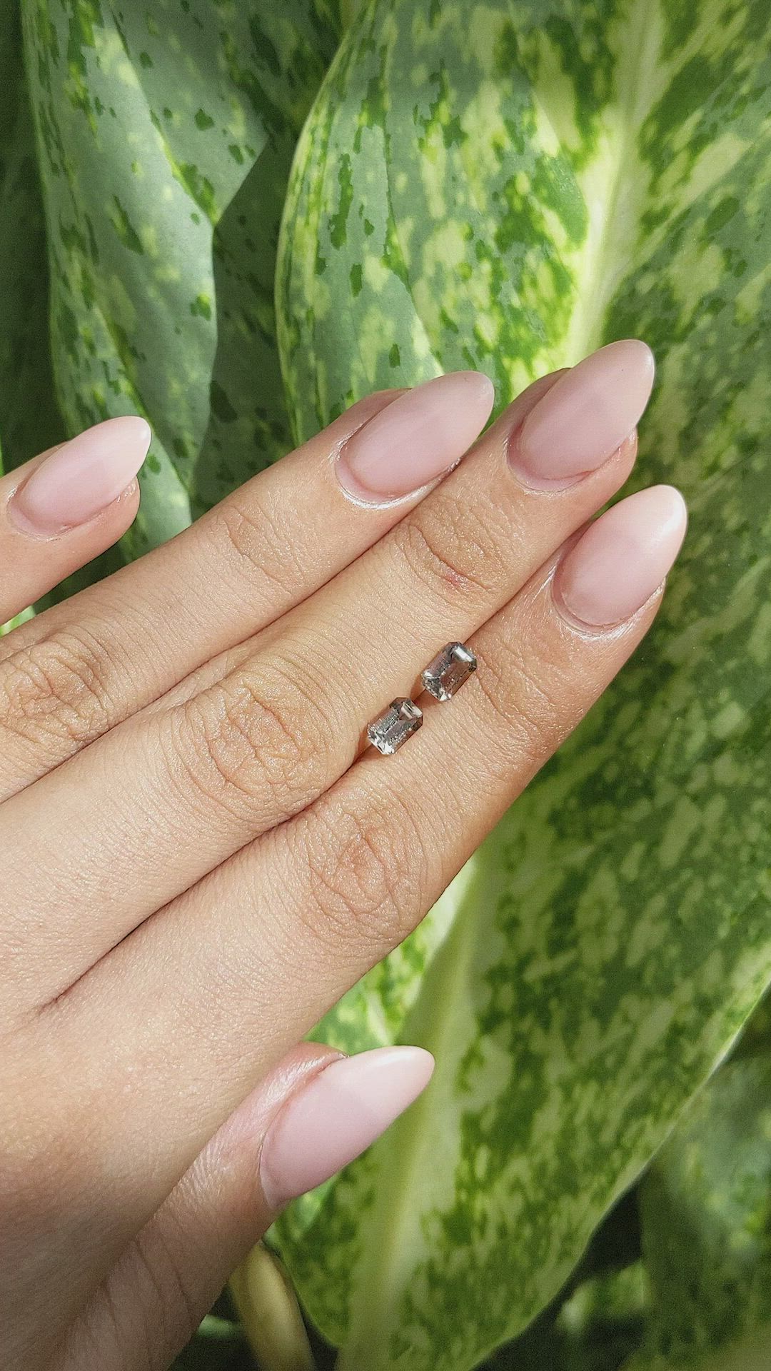 0.92&nbsp;Ct.Tw.Total Carat Weight Smokey Quartz Pair from Madagascar Size Video