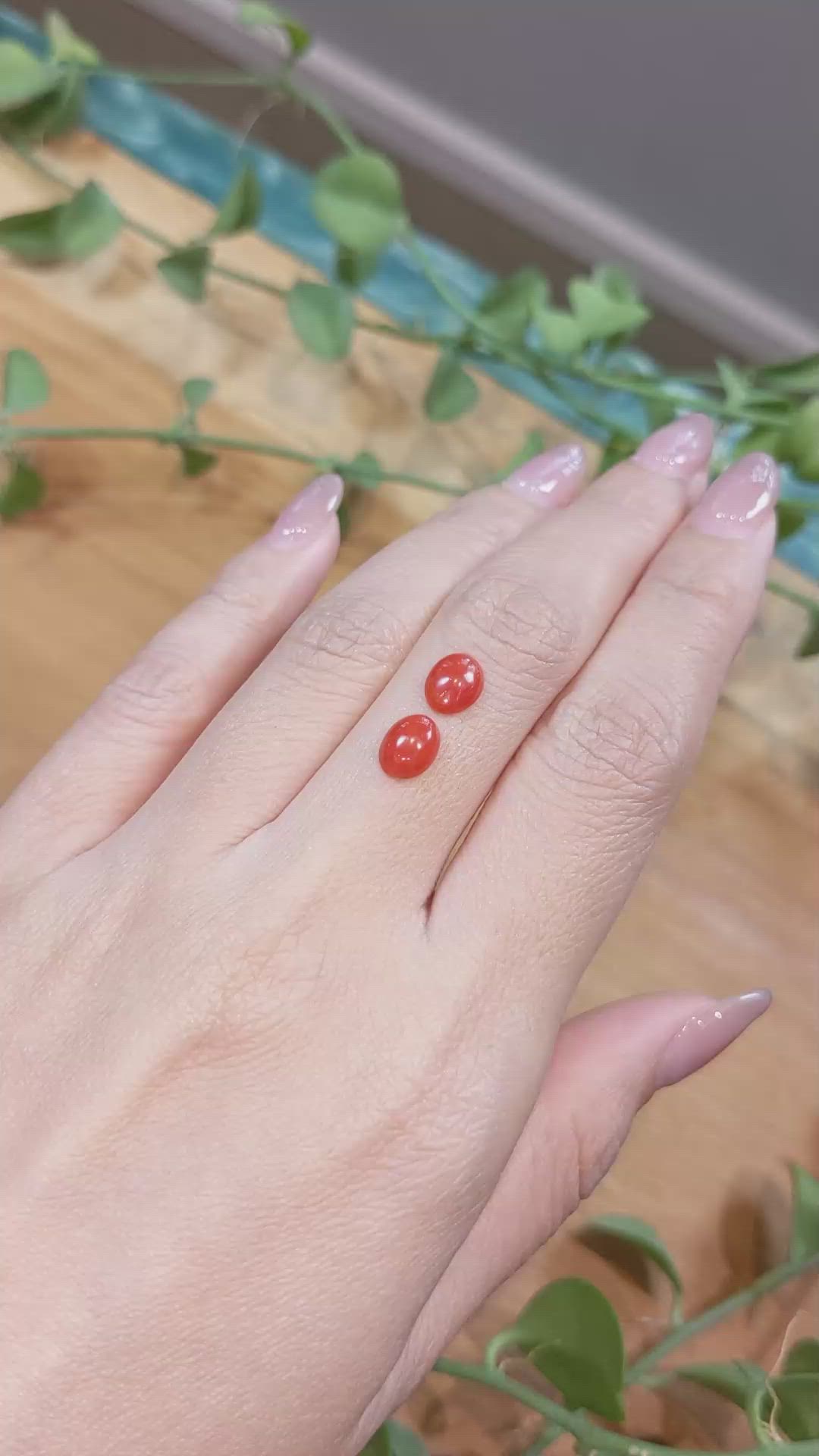 1.60&nbsp;Ct.Tw.Total Carat Weight Cabochon Coral Pair from Italy Size Video